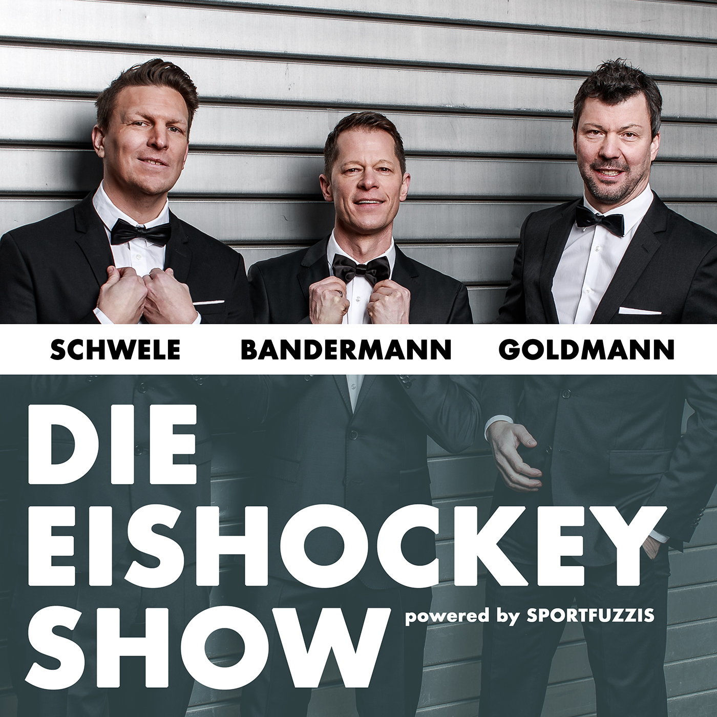 Die Eishockey Show
