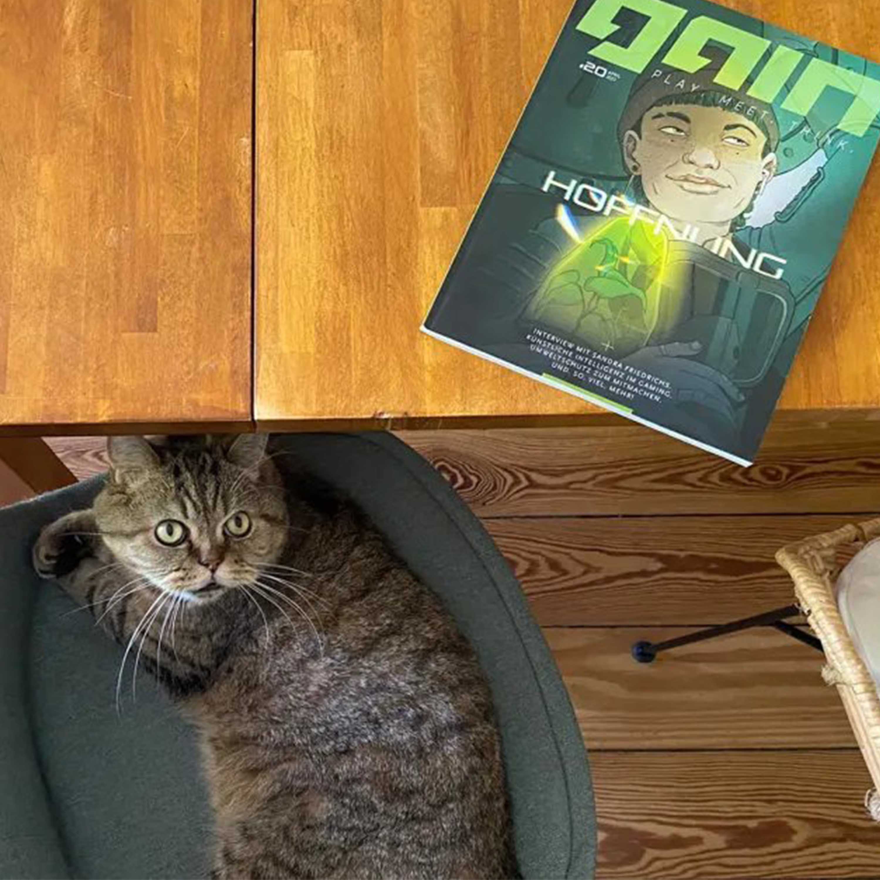 Im Gespräch mit Chefredakteurin Nora Beyer über die Spielezeitschrift GAIN