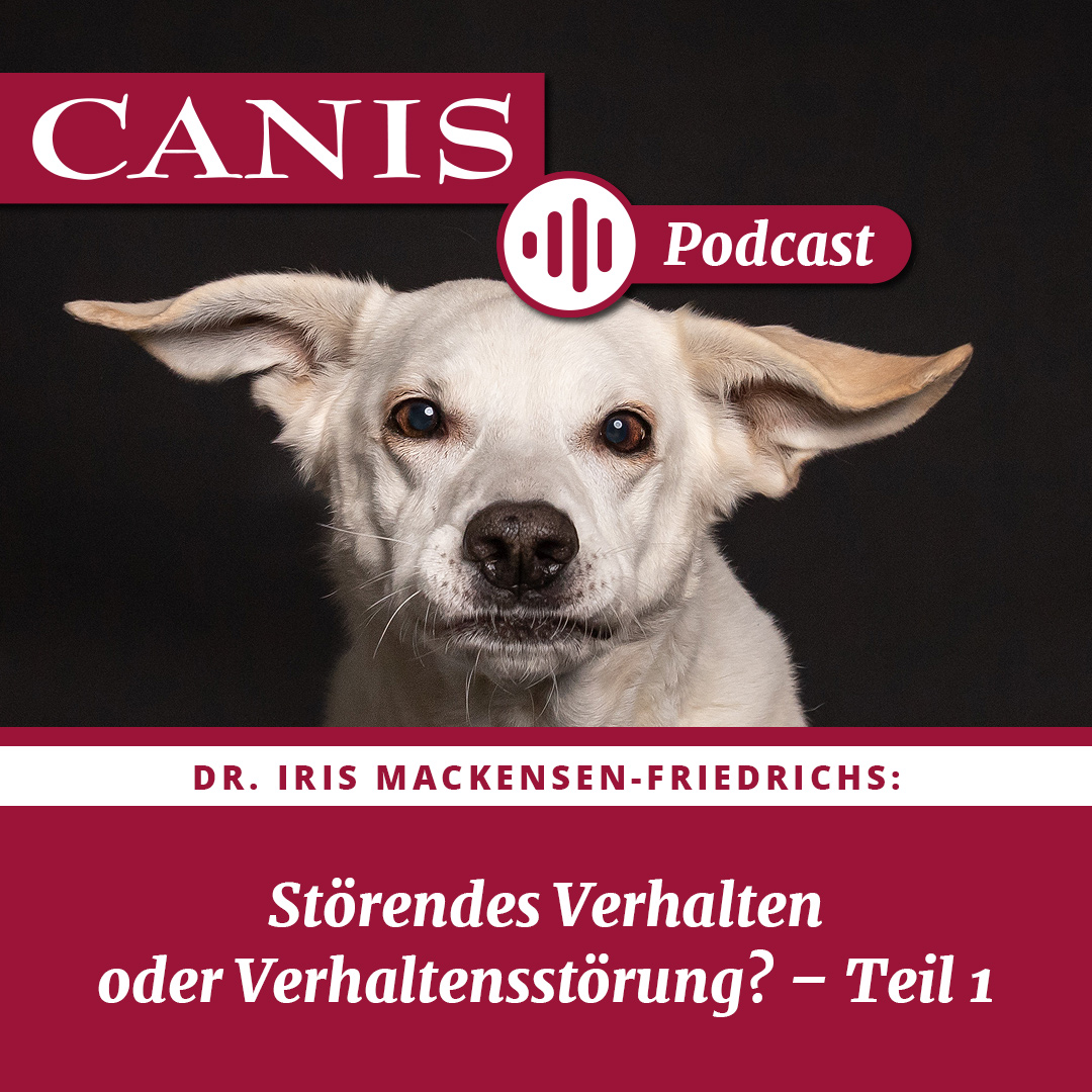 Der CANIS-Podcast – Hundeexpert:innen ausgefragt