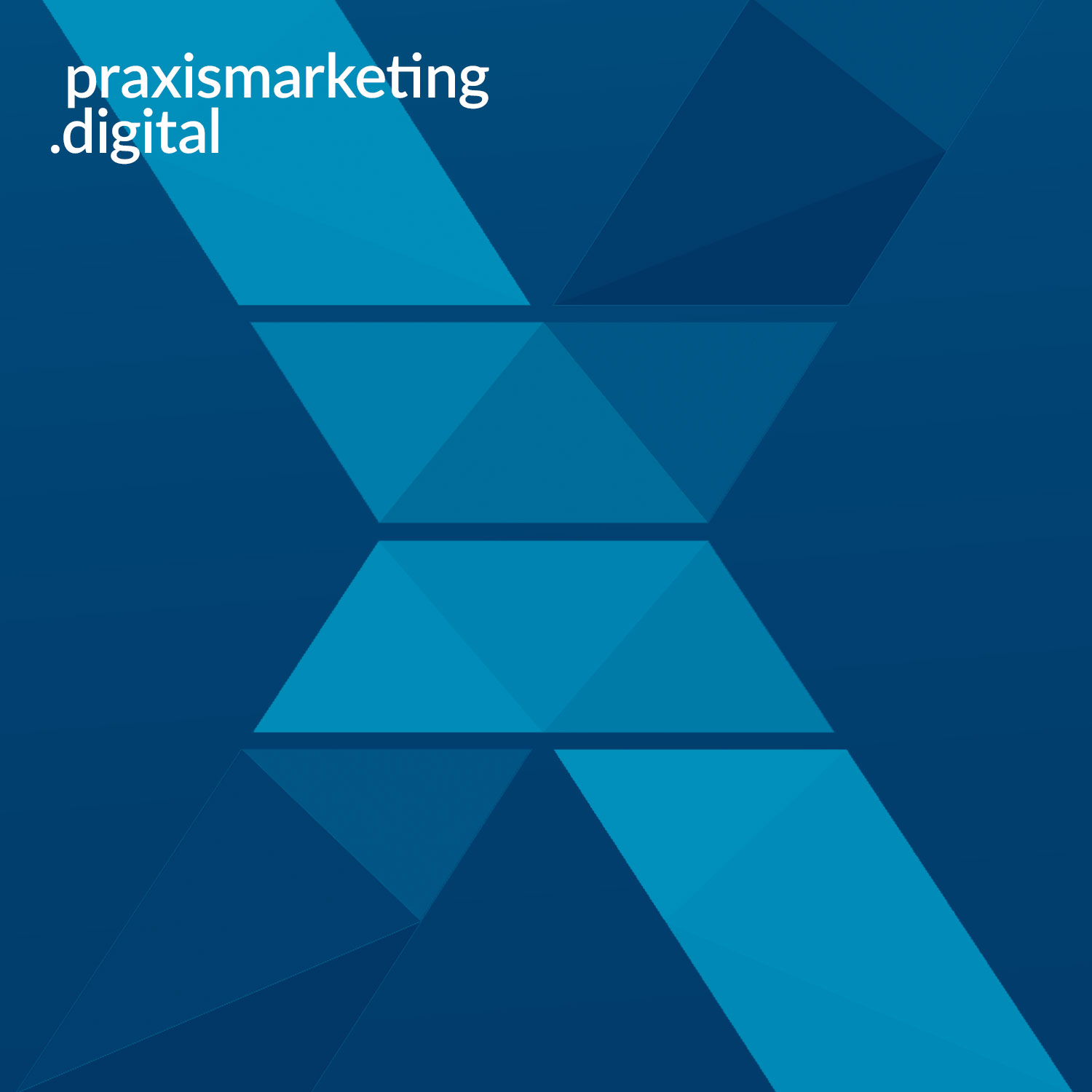 praxismarketing.digital