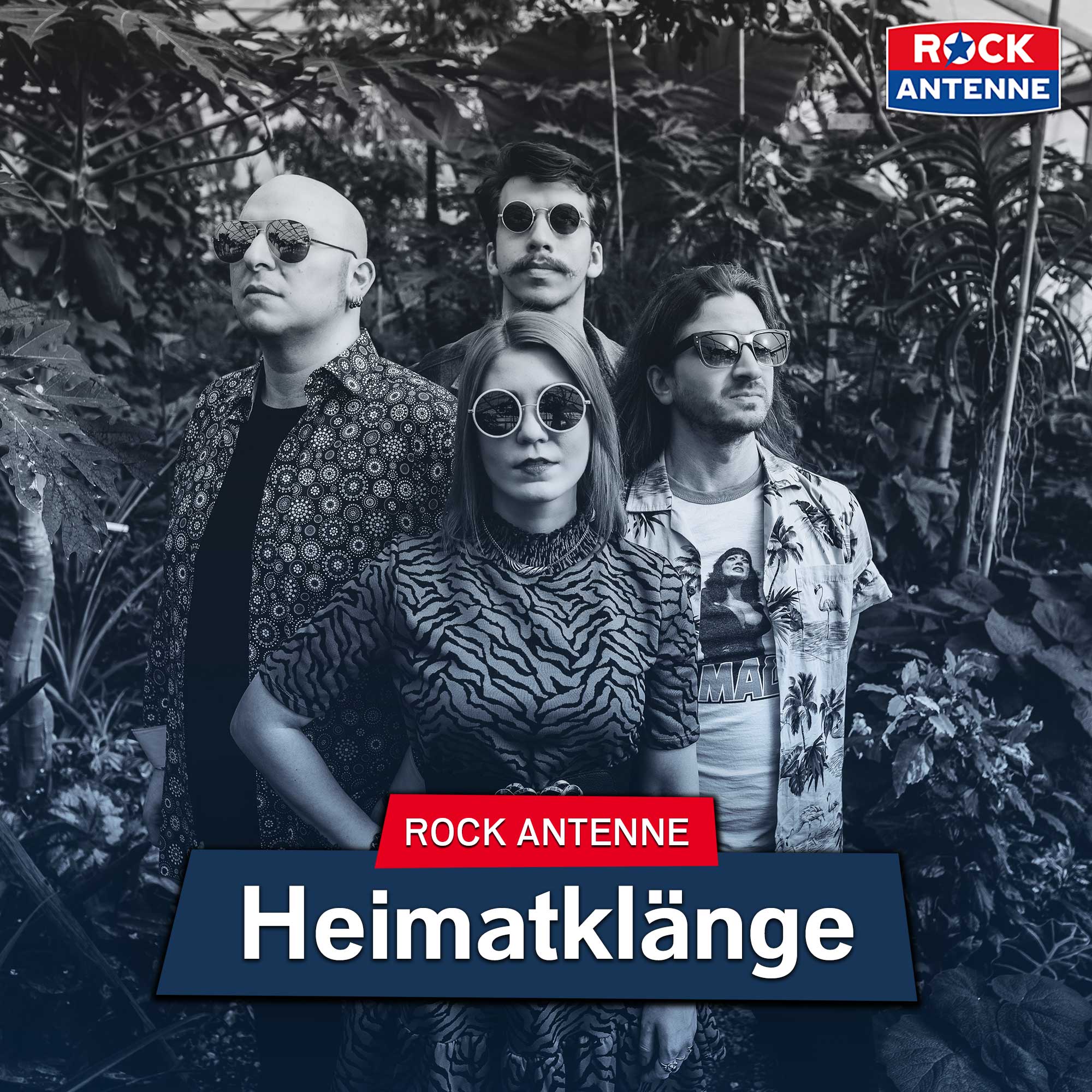 ROCK ANTENNE Lokalhelden – der Interview Podcast!