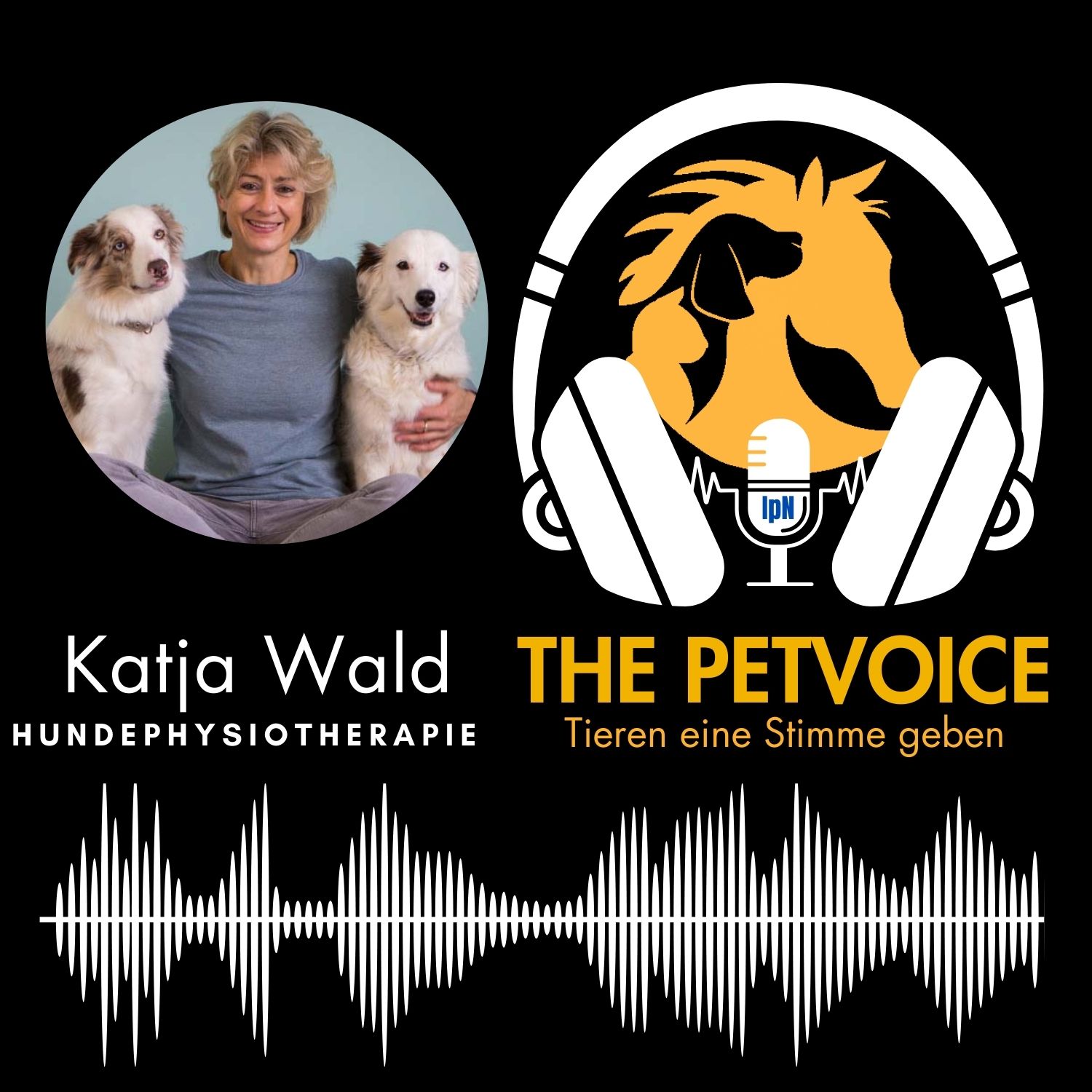 #9 - Hundephysiotherapeutin und Osteopathin Katja Wald episode artwork