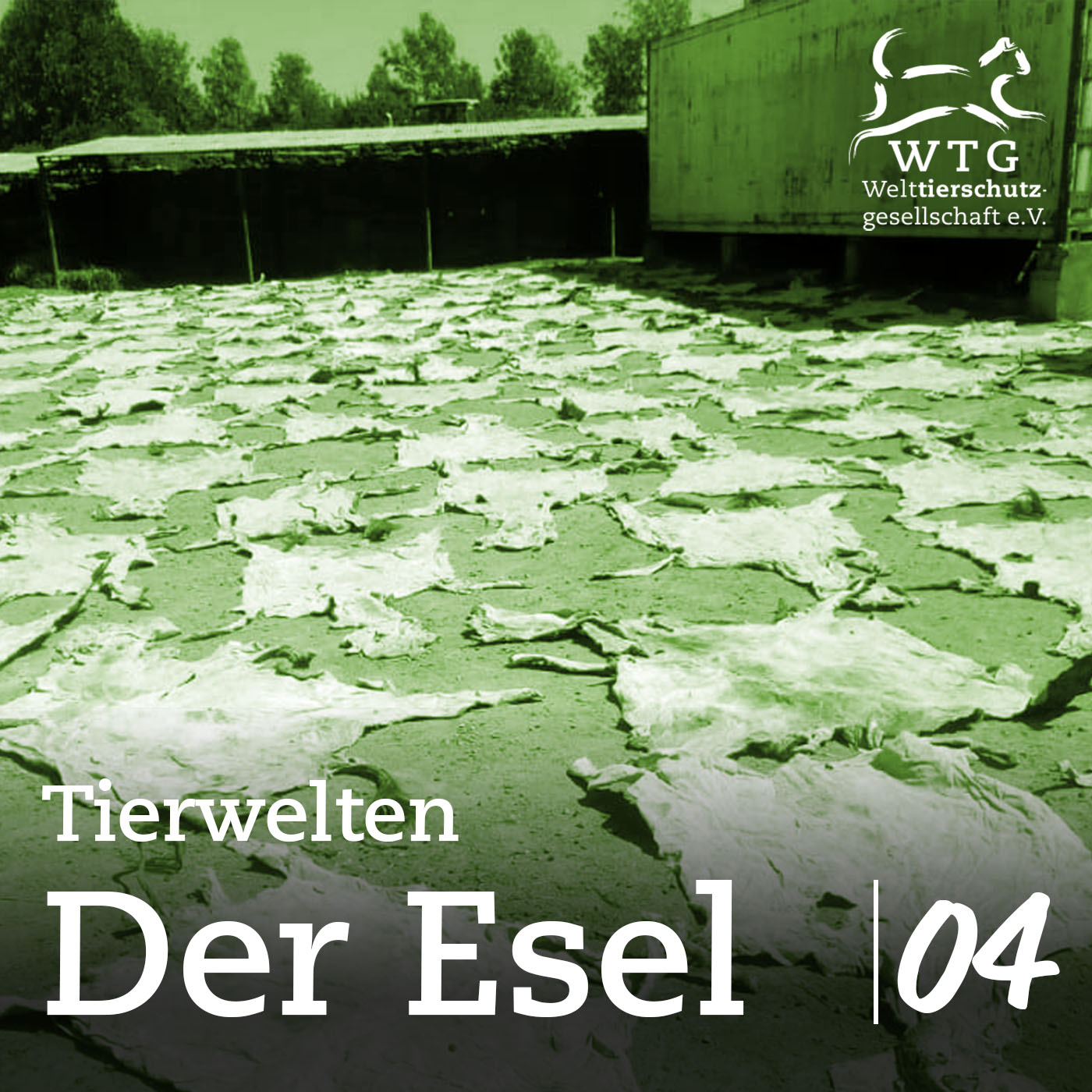 Tierwelten