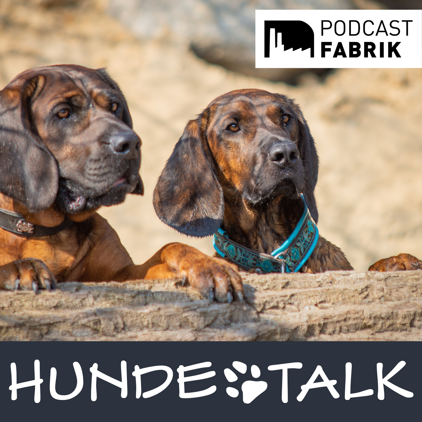 HUNDETALK - Dein Hunderunde-Podcast
