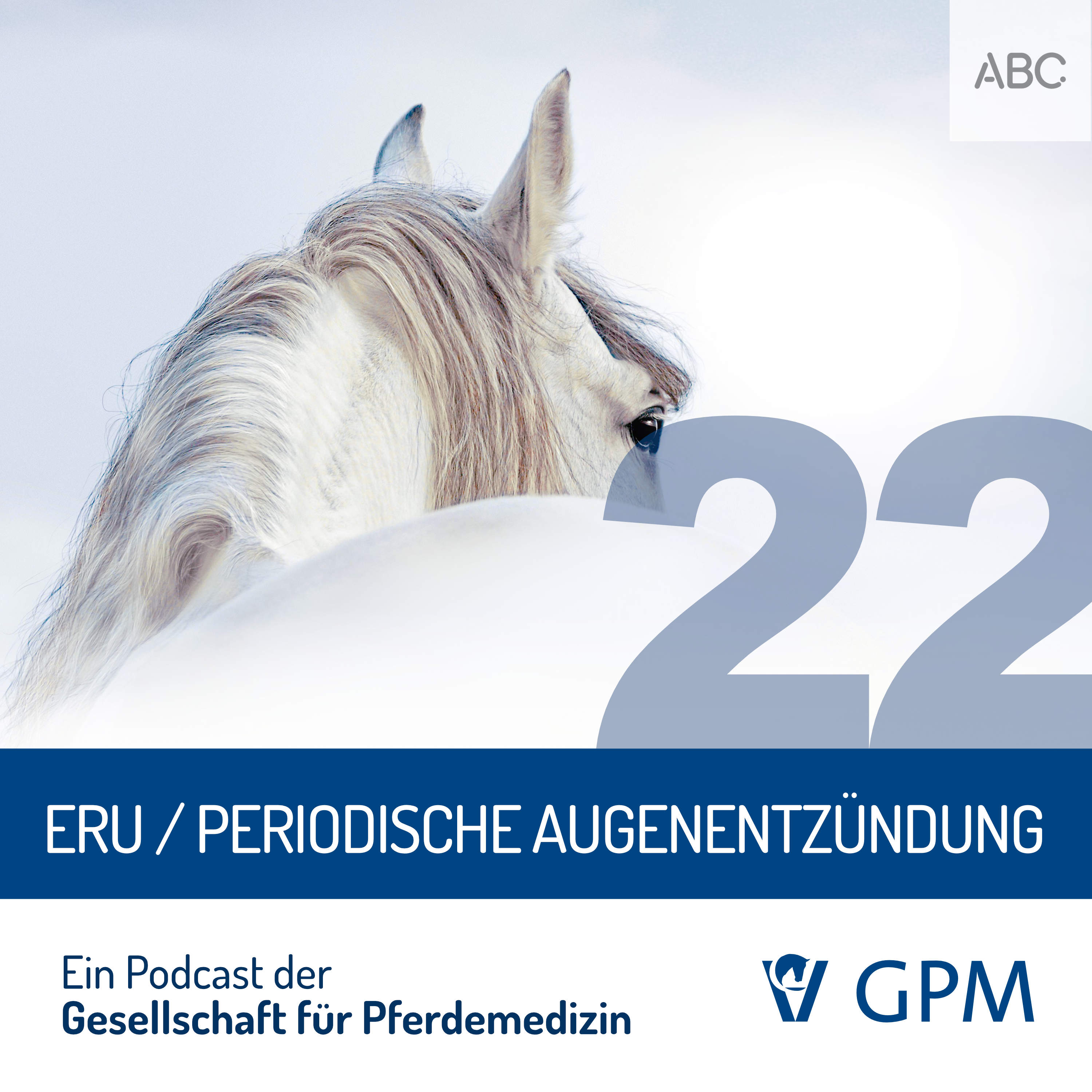 Pferdemedizin heute