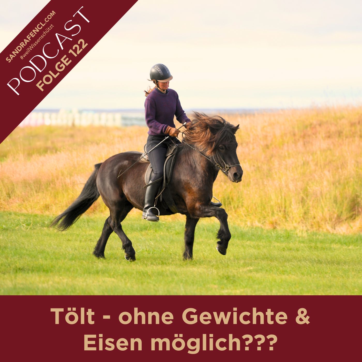 Pferdewissen - ganzheitlich & inspirierend mit Sandra Fencl