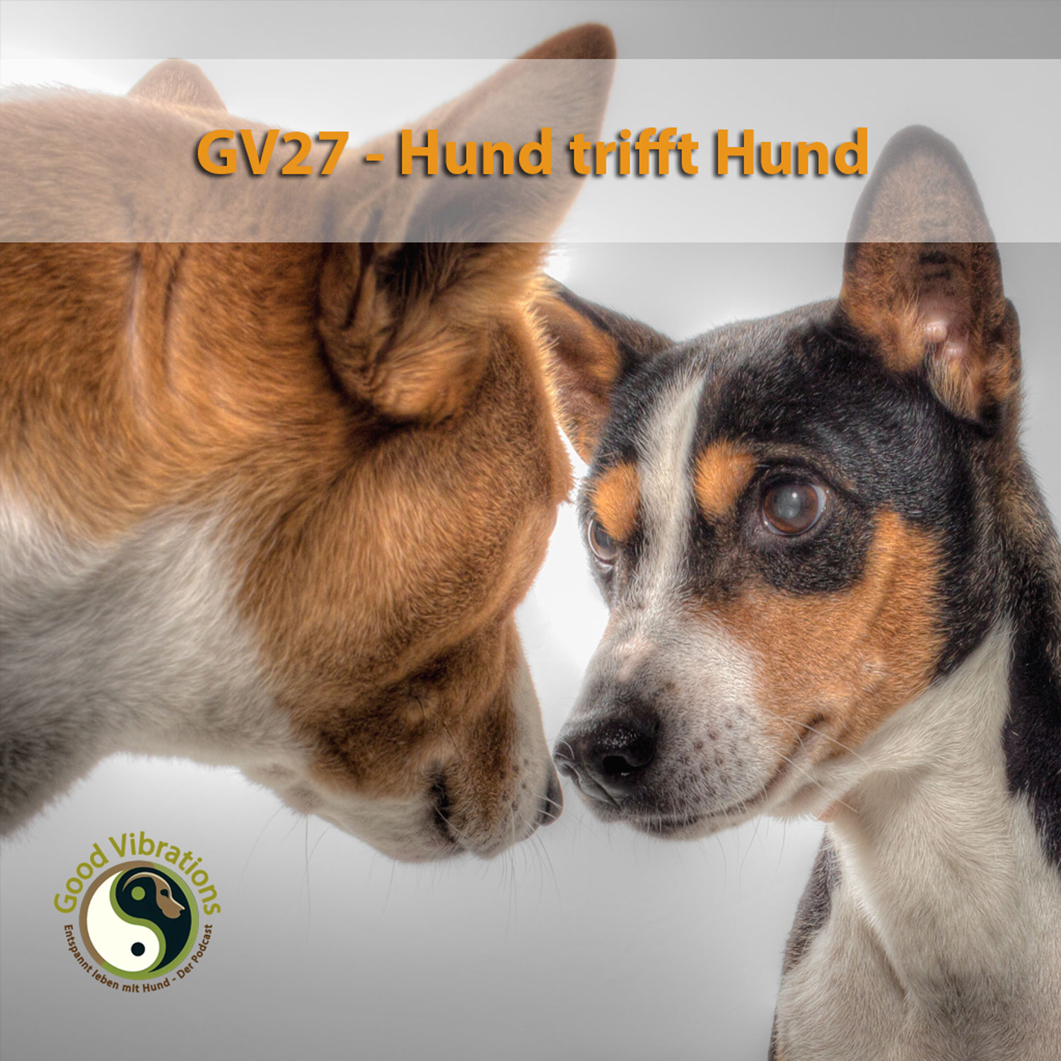 Good Vibrations. Entspannt leben mit Hunden. Der Podcast.