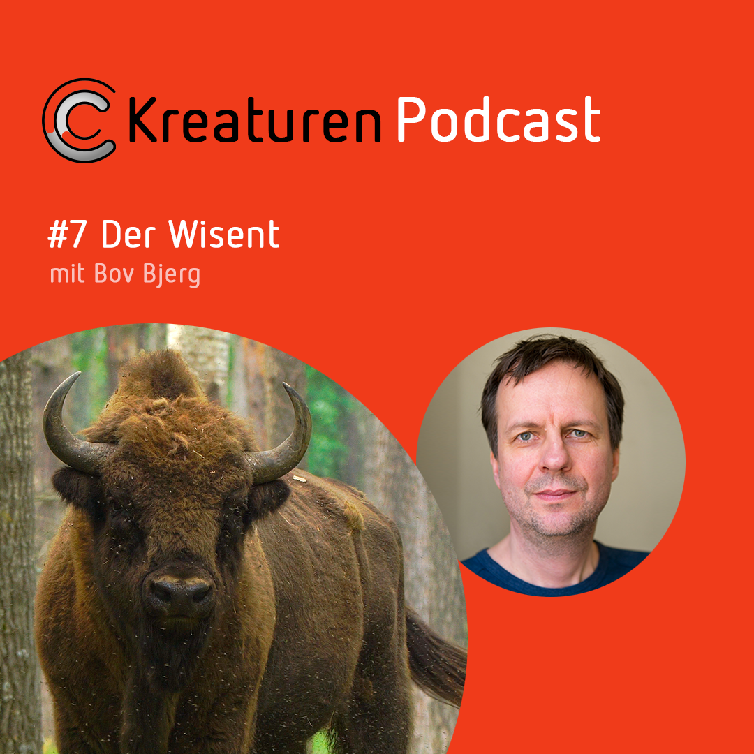 Kreaturen Podcast - Folge 07: Der Wisent mit Bov Bjerg episode artwork