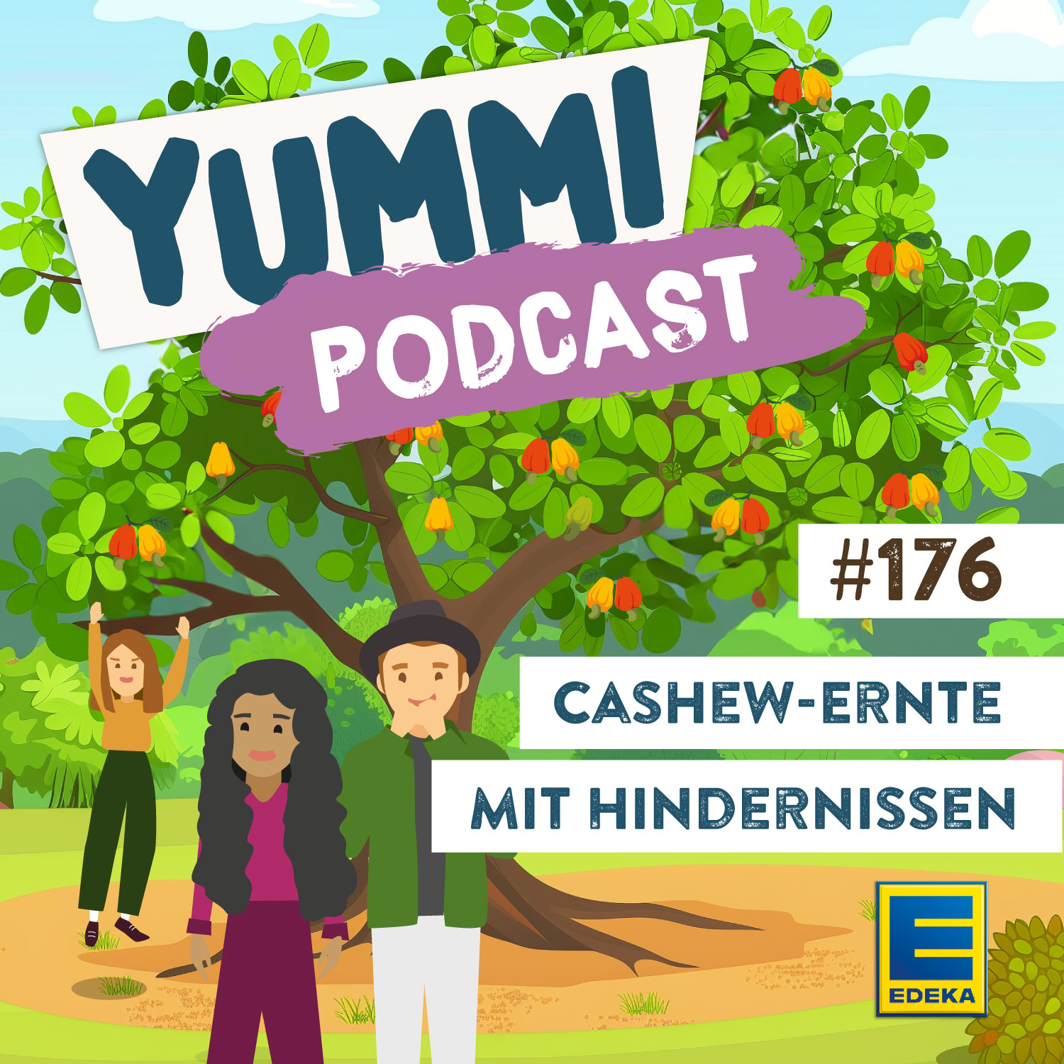 Cashew-Ernte mit Hindernissen