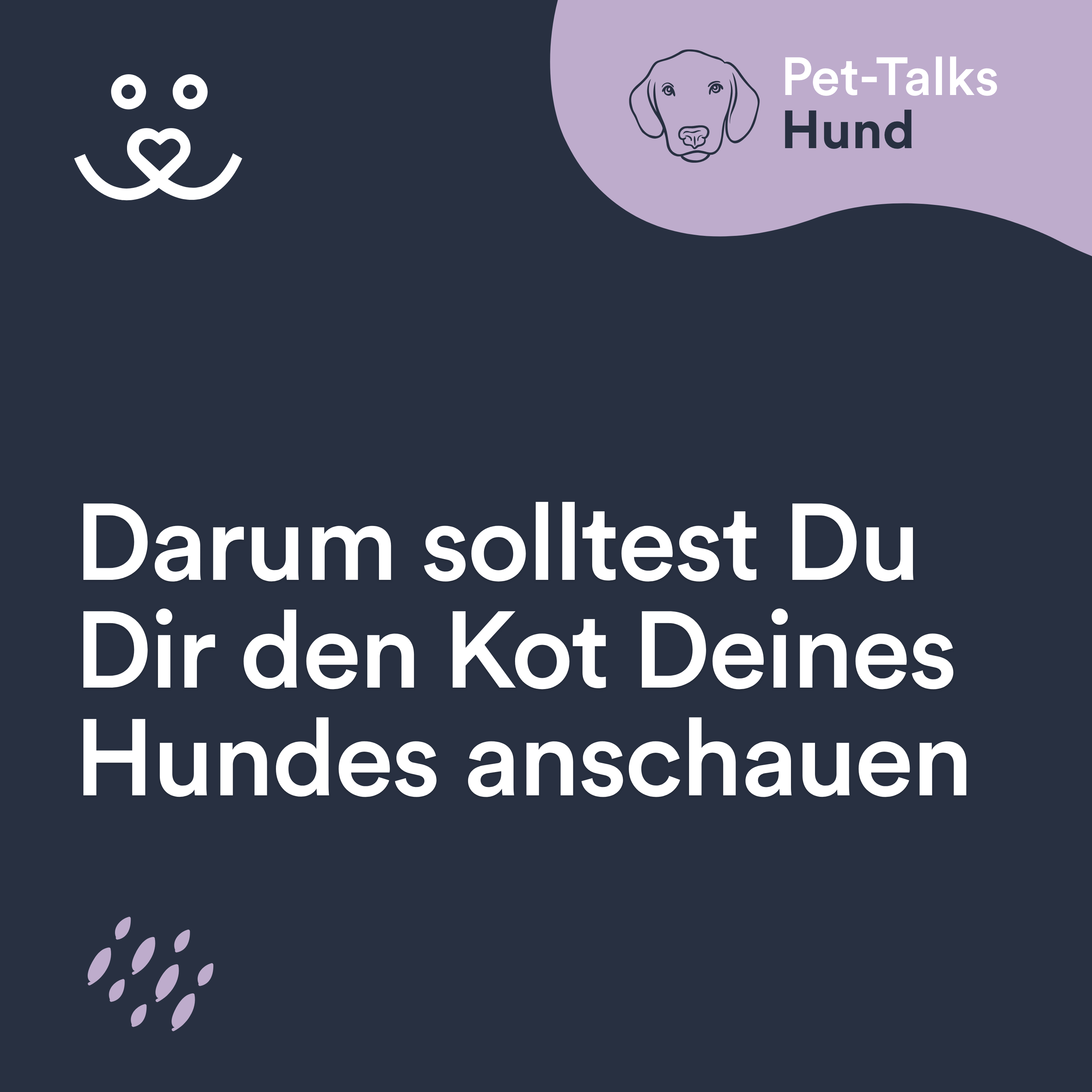 Pet-Talks: Hund – der Ratgeber-Podcast von DeineTierwelt