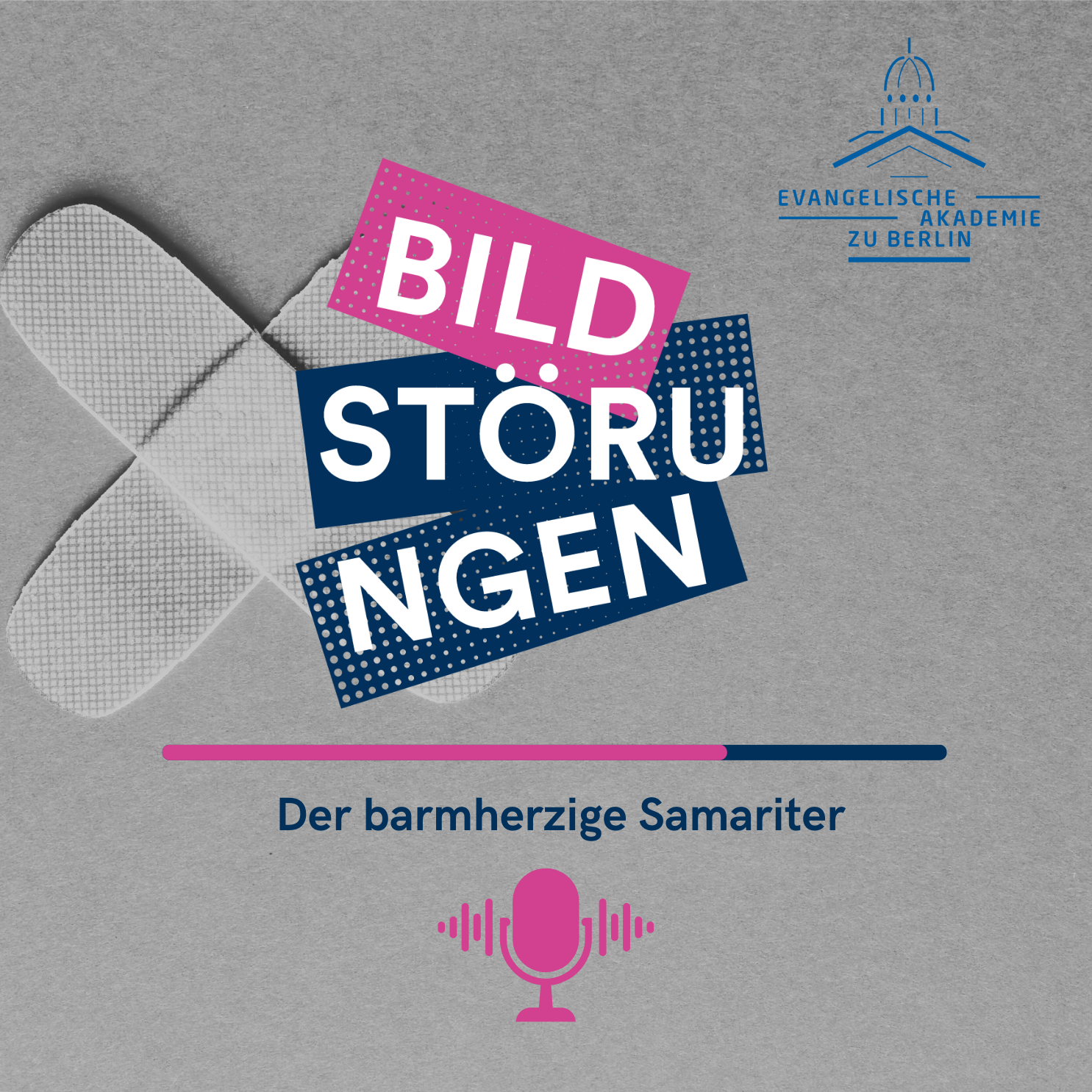 Bildstörungen