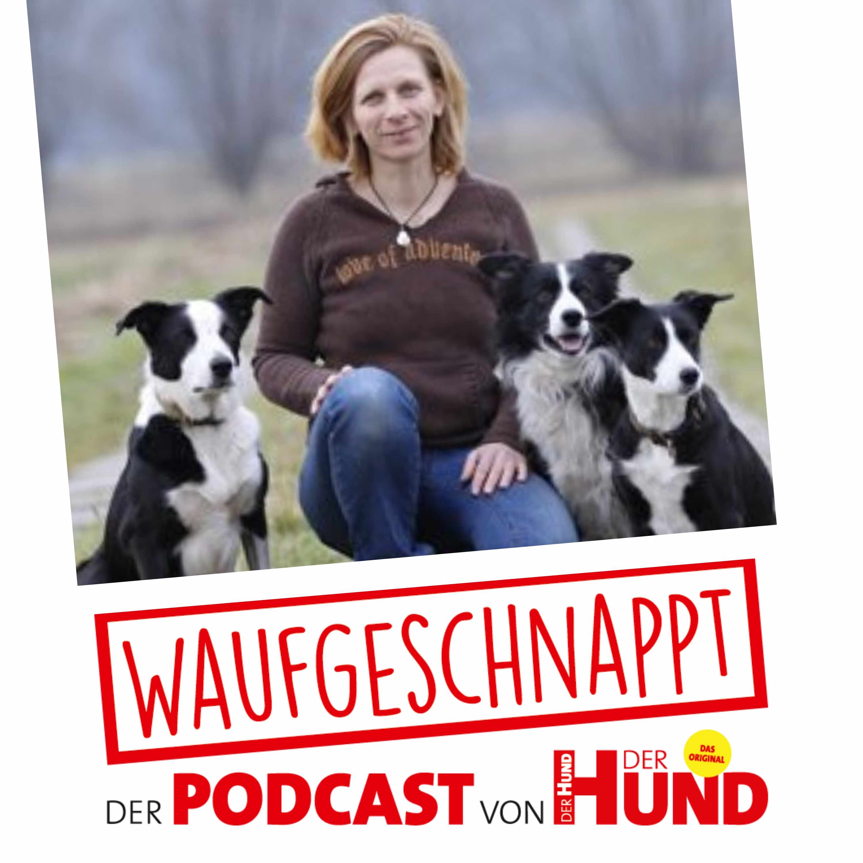 Waufgeschnappt - der Podcast von DER HUND