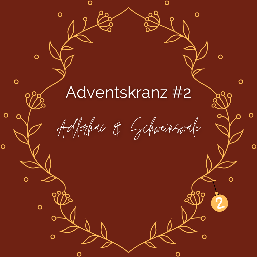 #diedreimjf - Adventskranz 2021 Kerze 2: Adlerhai und Schweinswal episode artwork