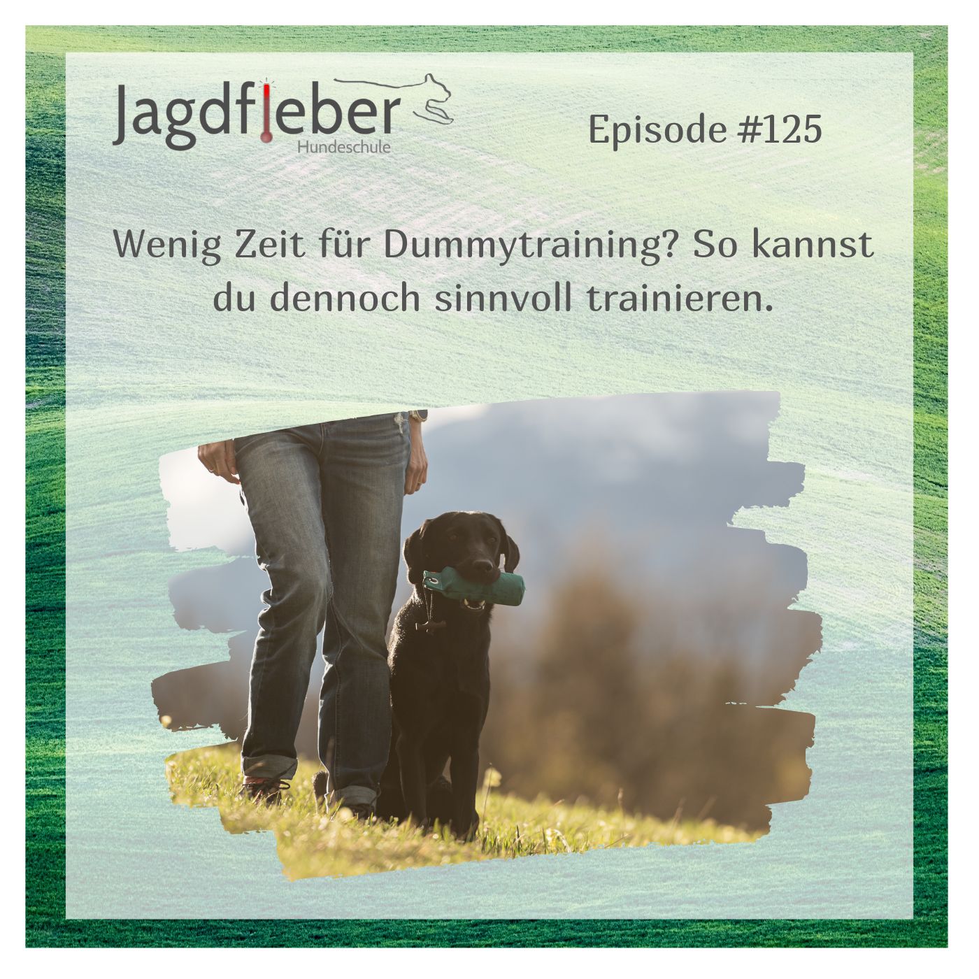 P125: Wenig Zeit für Dummytraining? So kannst du dennoch sinnvoll trainieren. episode artwork