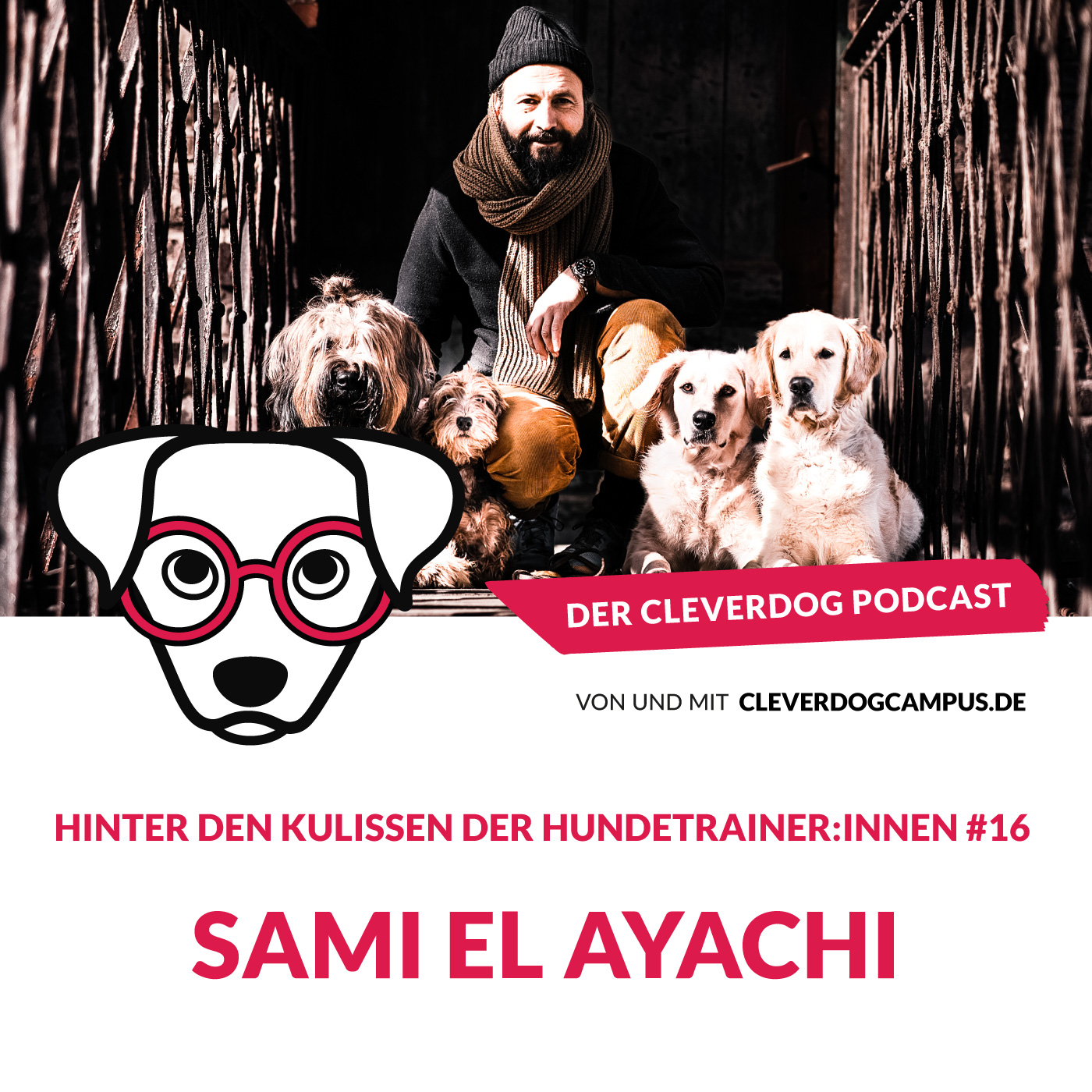 Der Cleverdog Podcast – mehr Wissen rund um den Hund!