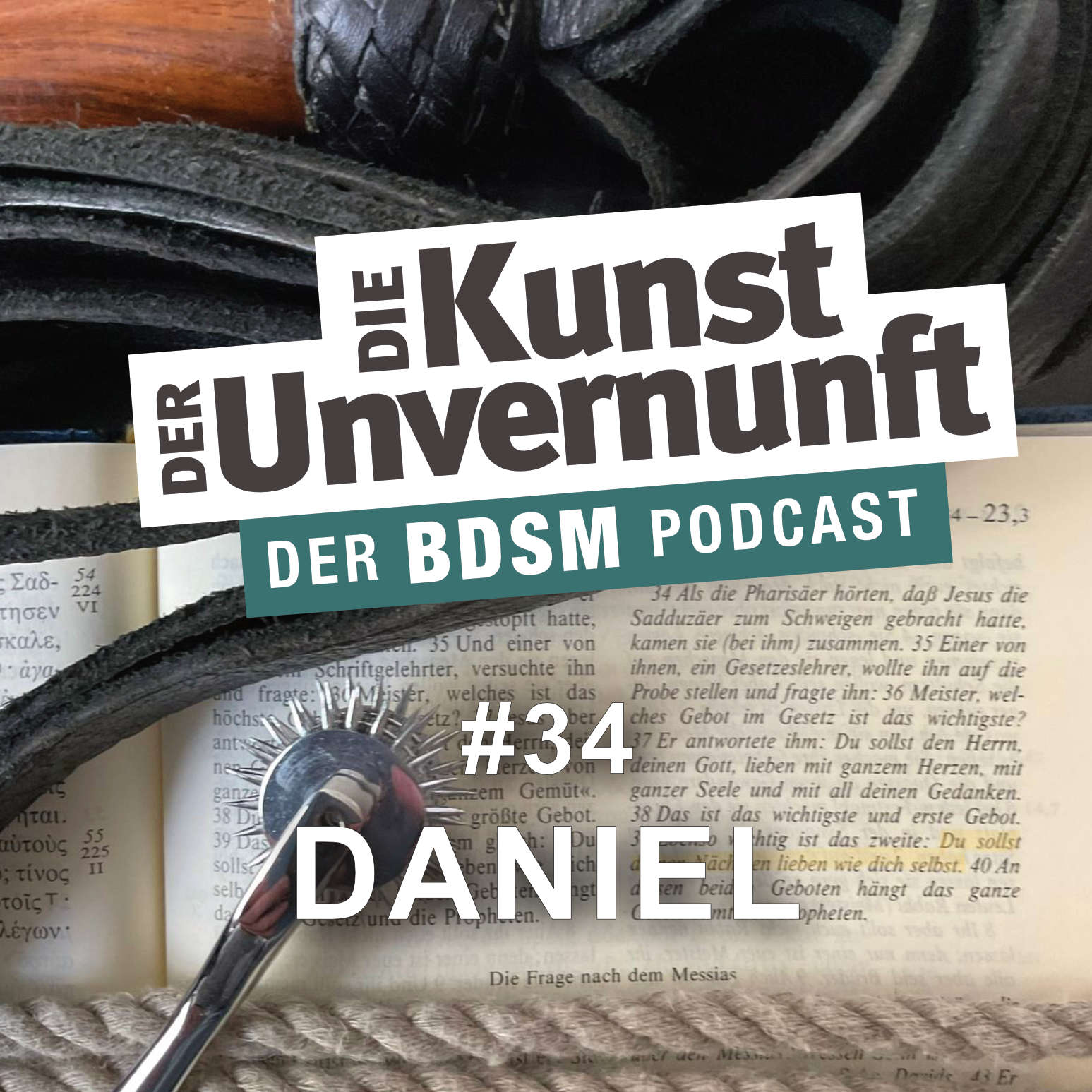 BDSM - Die Kunst der Unvernunft