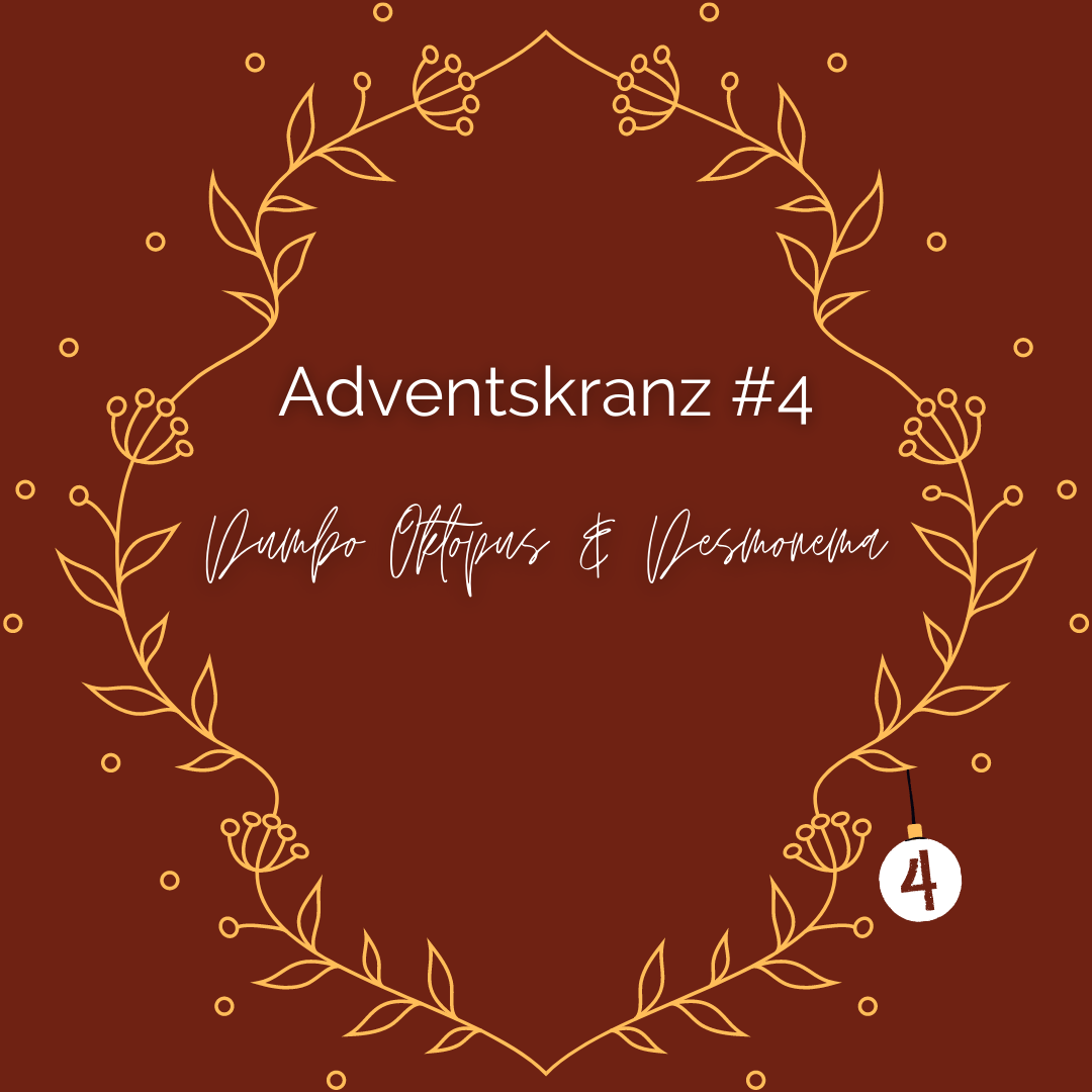 #diedreimjf - Adventskranz 2021 Kerze 4: Desmonema und Dumbo-Oktopusse episode artwork