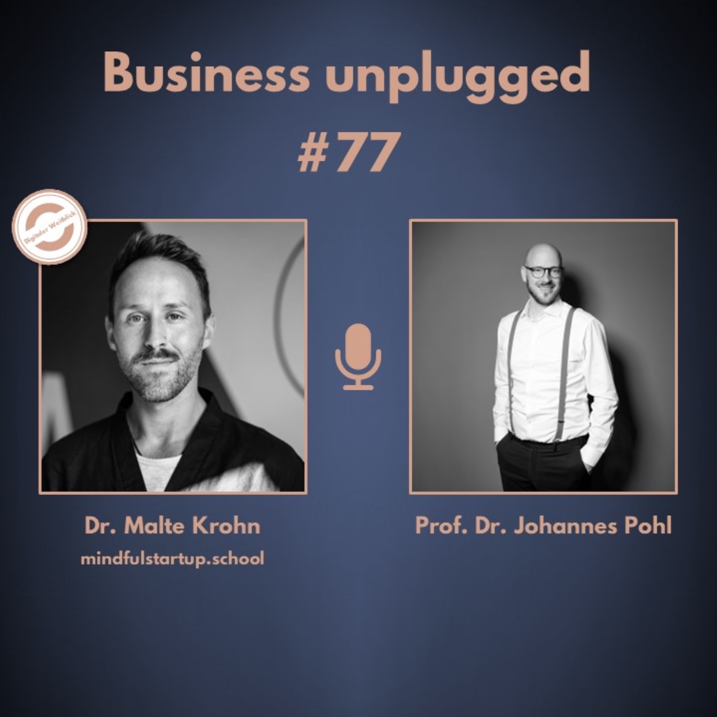 Business unplugged - Menschen, Unternehmen und Aspekte der Digitalisierung