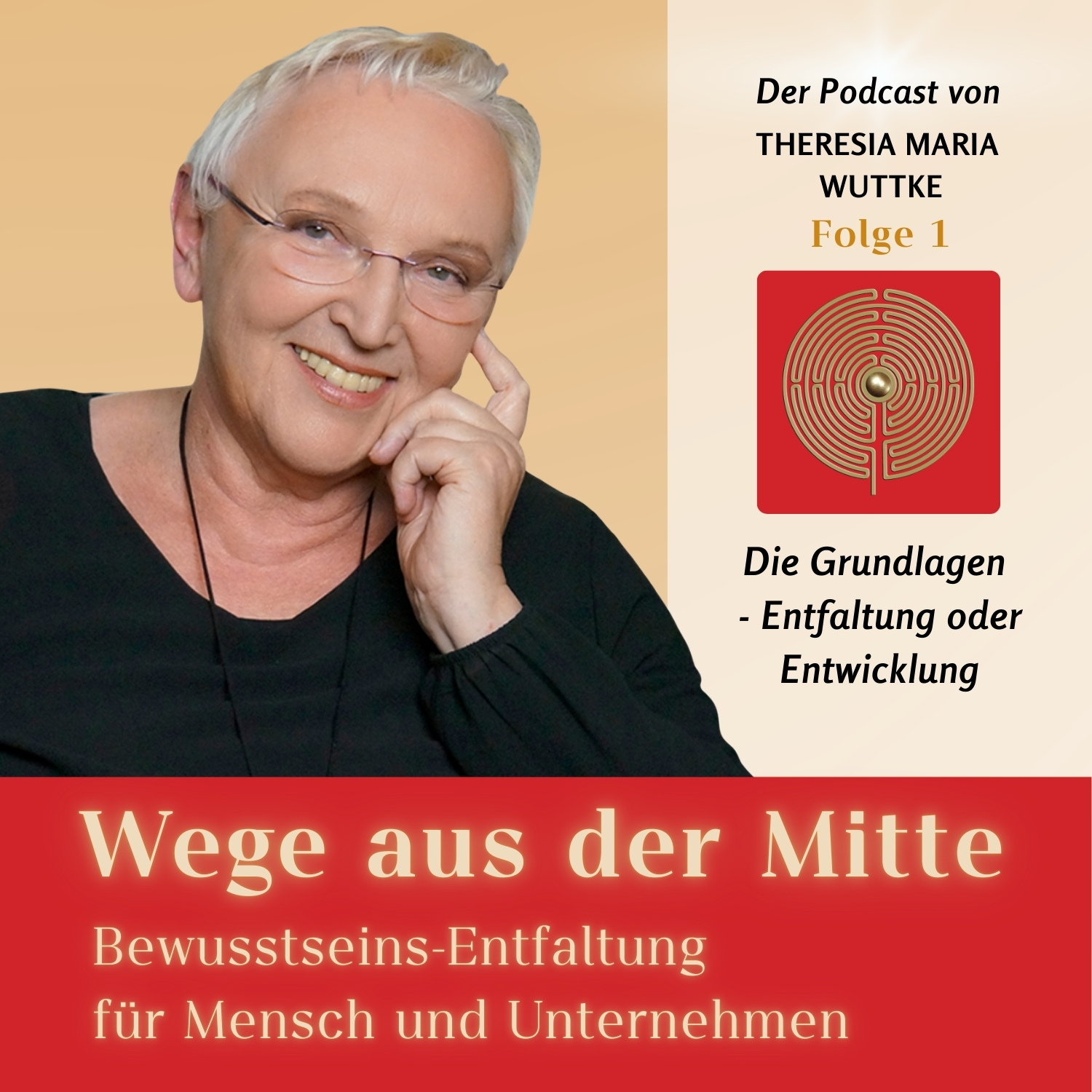 Folge 1 - Die Grundlagen - Entfaltung oder Entwicklung episode artwork