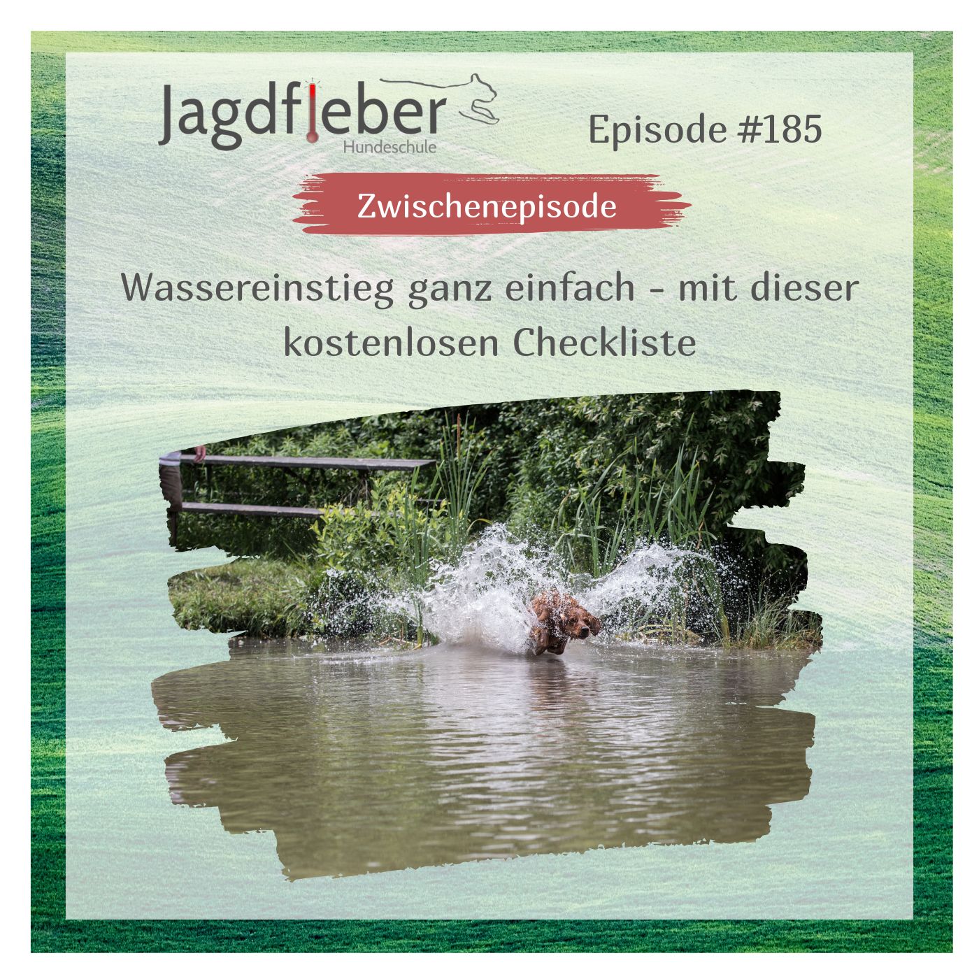 P185: Wassereinstieg ganz einfach - mit dieser kostenlosen Checkliste episode artwork