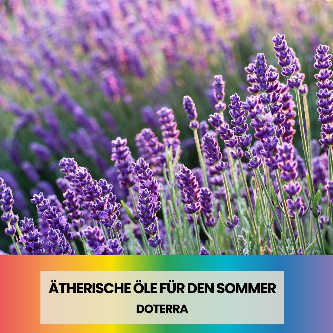 Chakramonia – Chakren gut, alles gut!