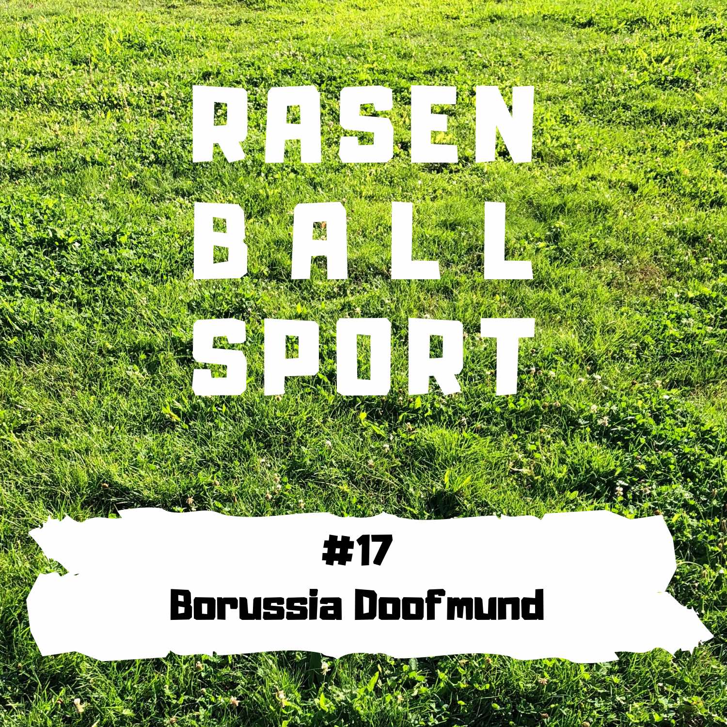 RASENBALLSPOTT