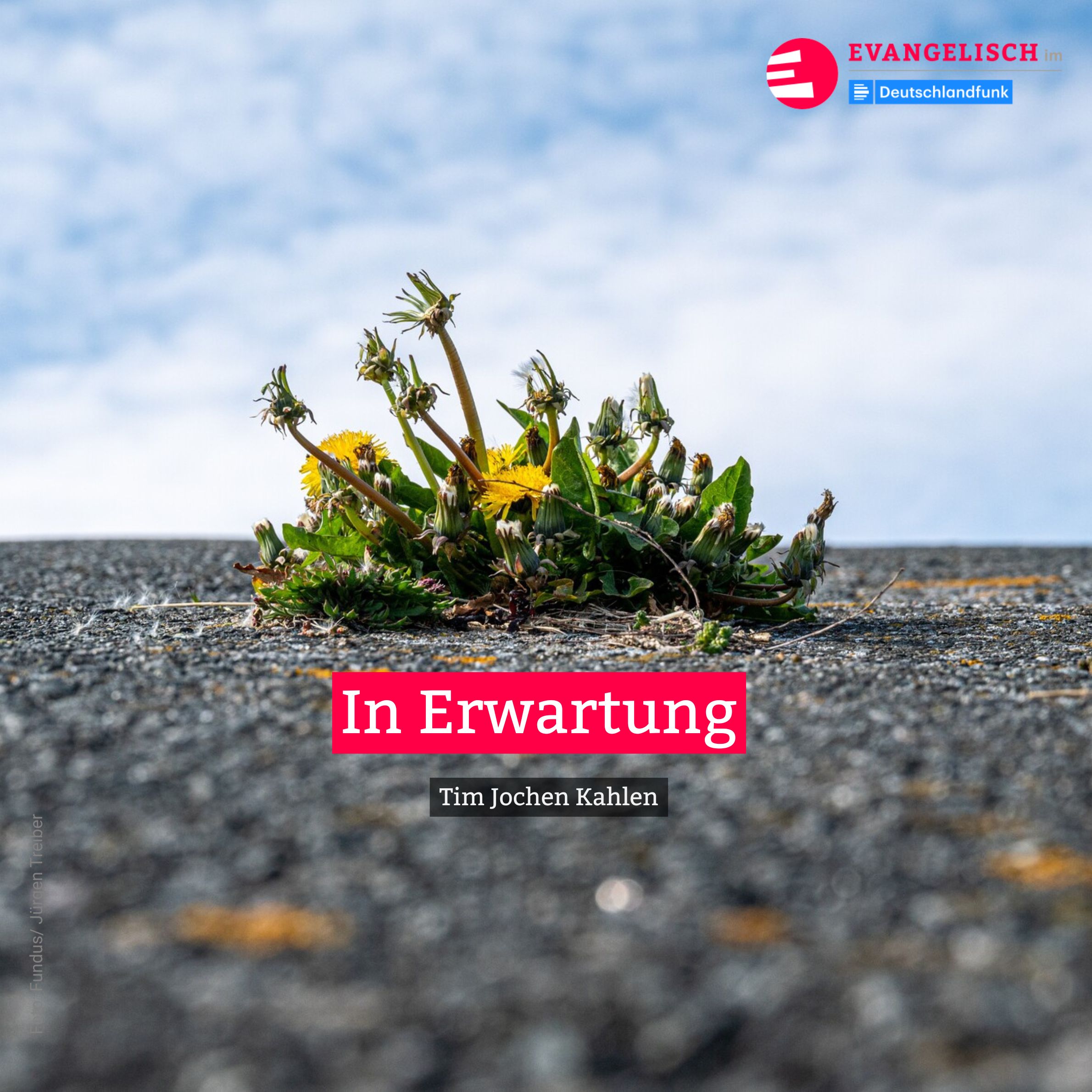 In Erwartung