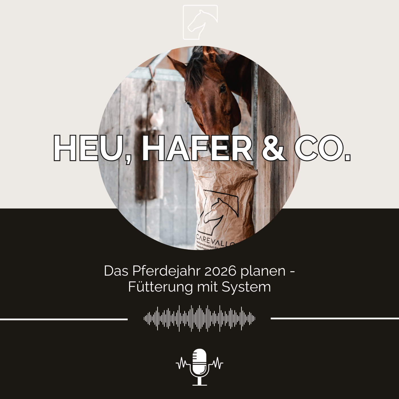 Heu, Hafer & Co: Der Pferdefutter-Podcast