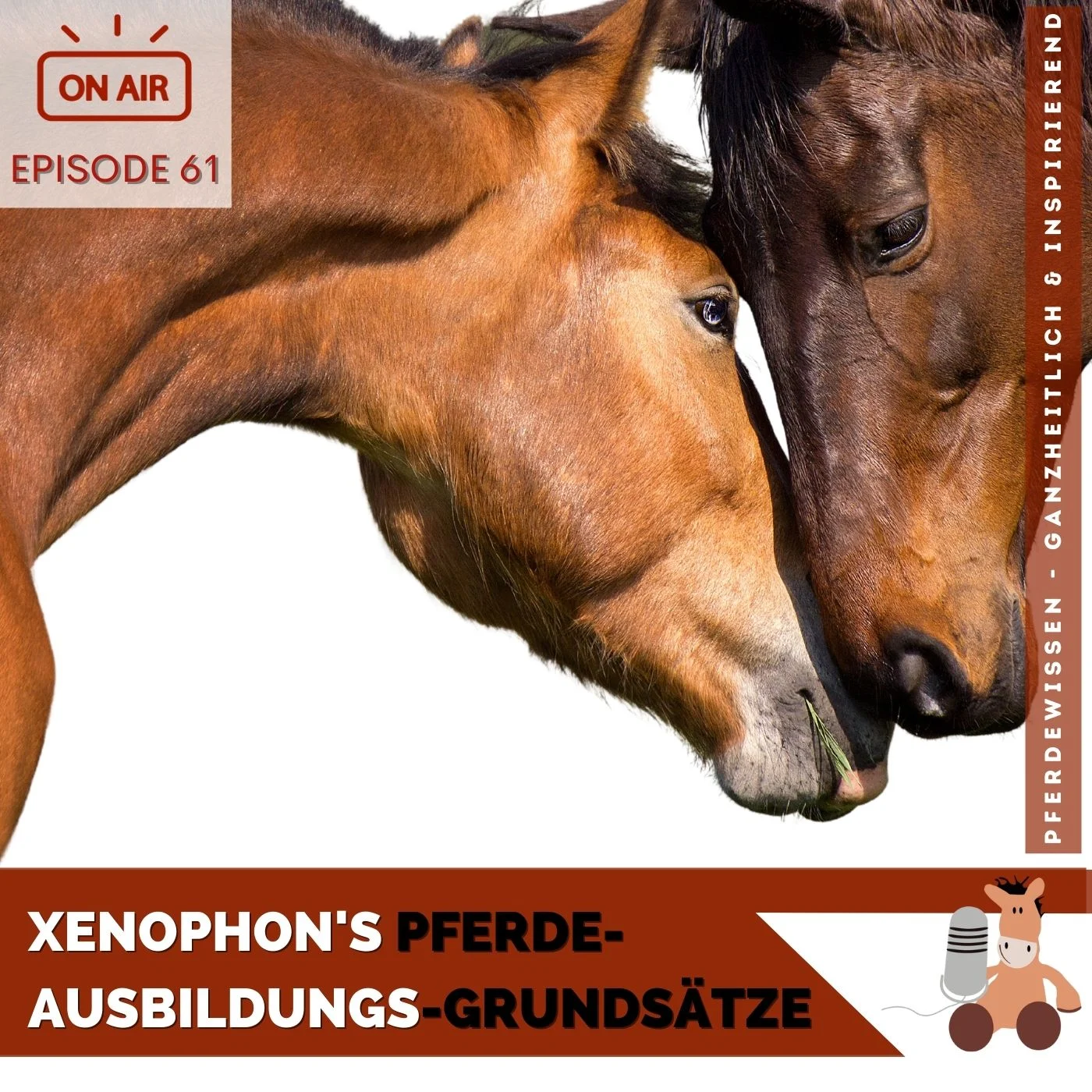 Pferdewissen - ganzheitlich & inspirierend mit Sandra Fencl