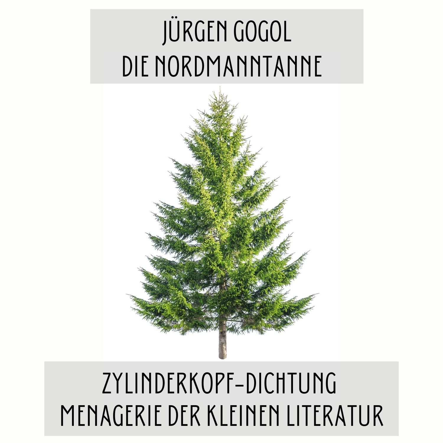 Zylinderkopf-Dichtung: Kurzgeschichten, Autorengespräche und Gedichte