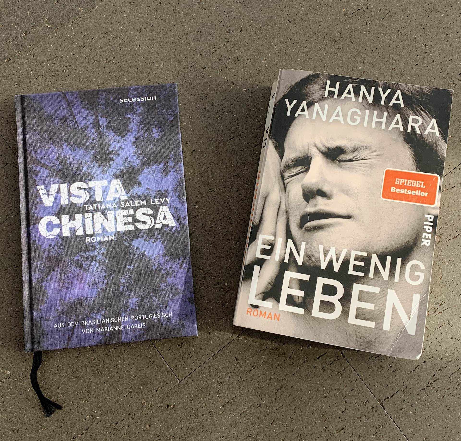 Katjas und Inas Buchgestöber