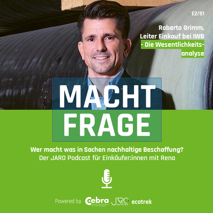 Wesentlichkeitsanalyse episode artwork