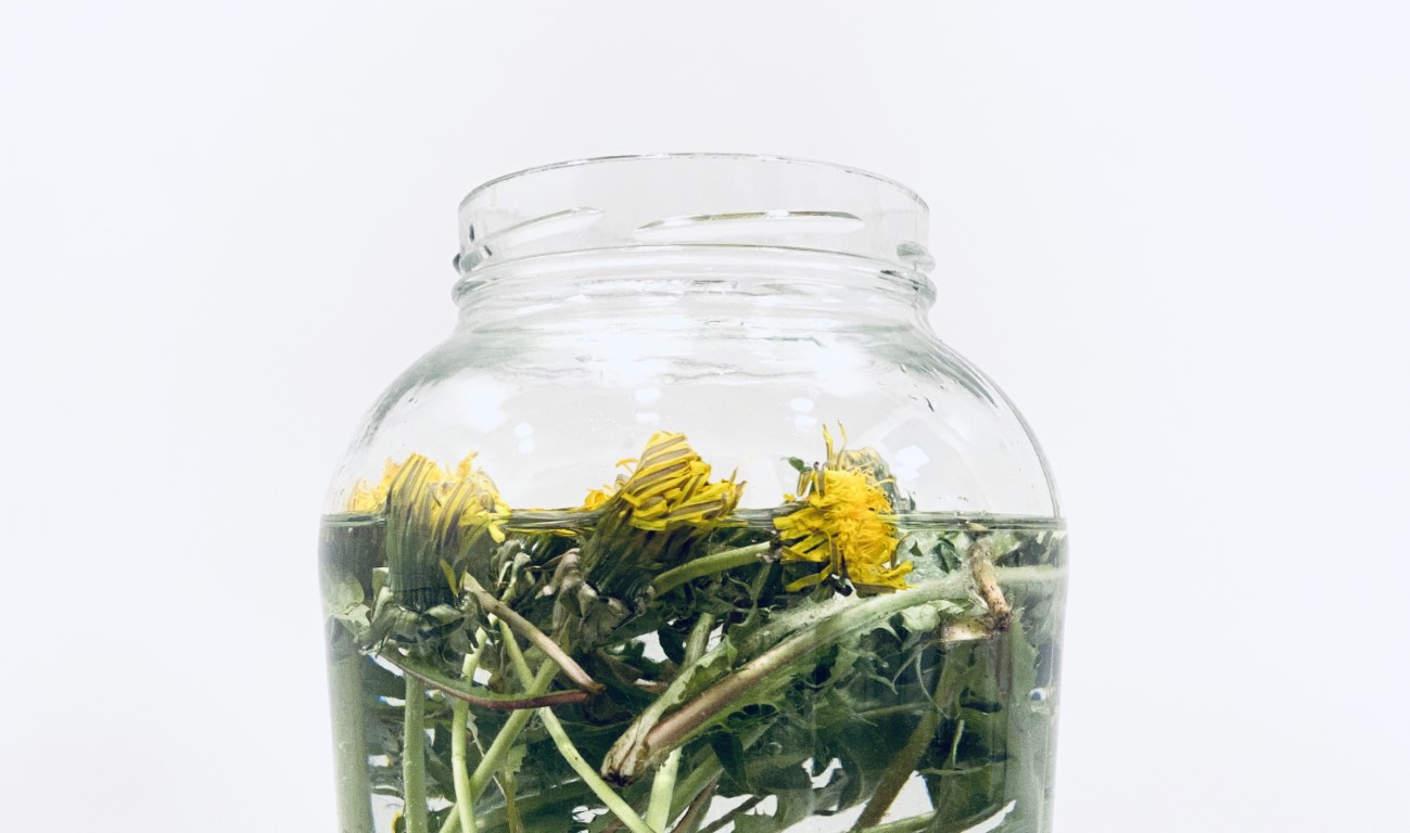 Better for me - Die Schätze der Natur