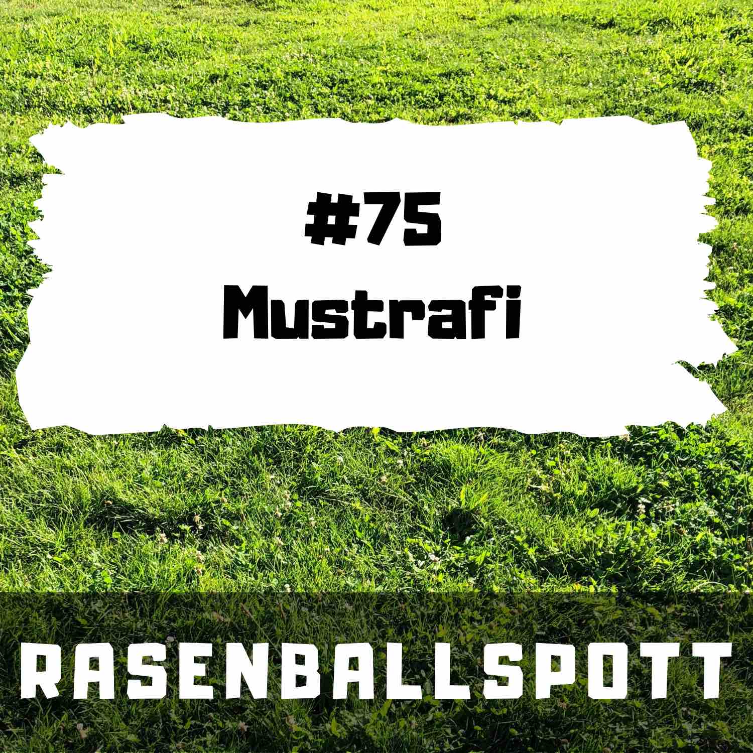 RASENBALLSPOTT