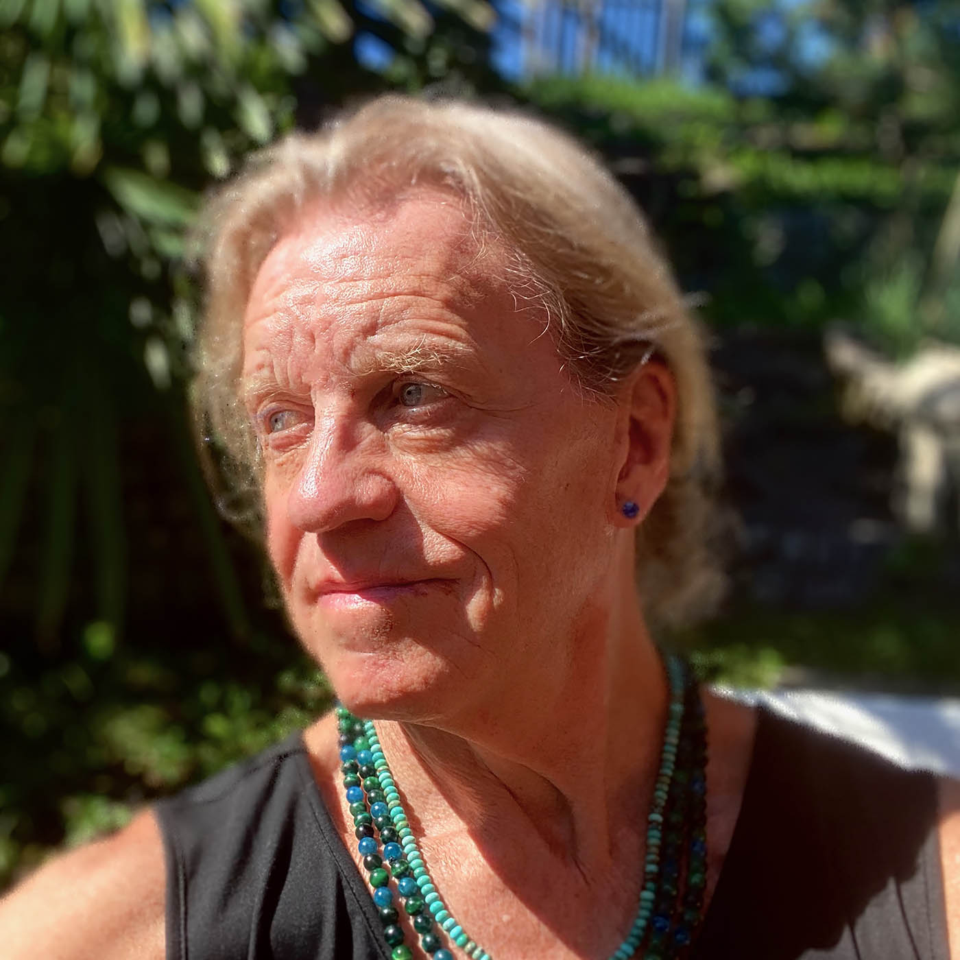 Zeitpunkt TERRA NOVA