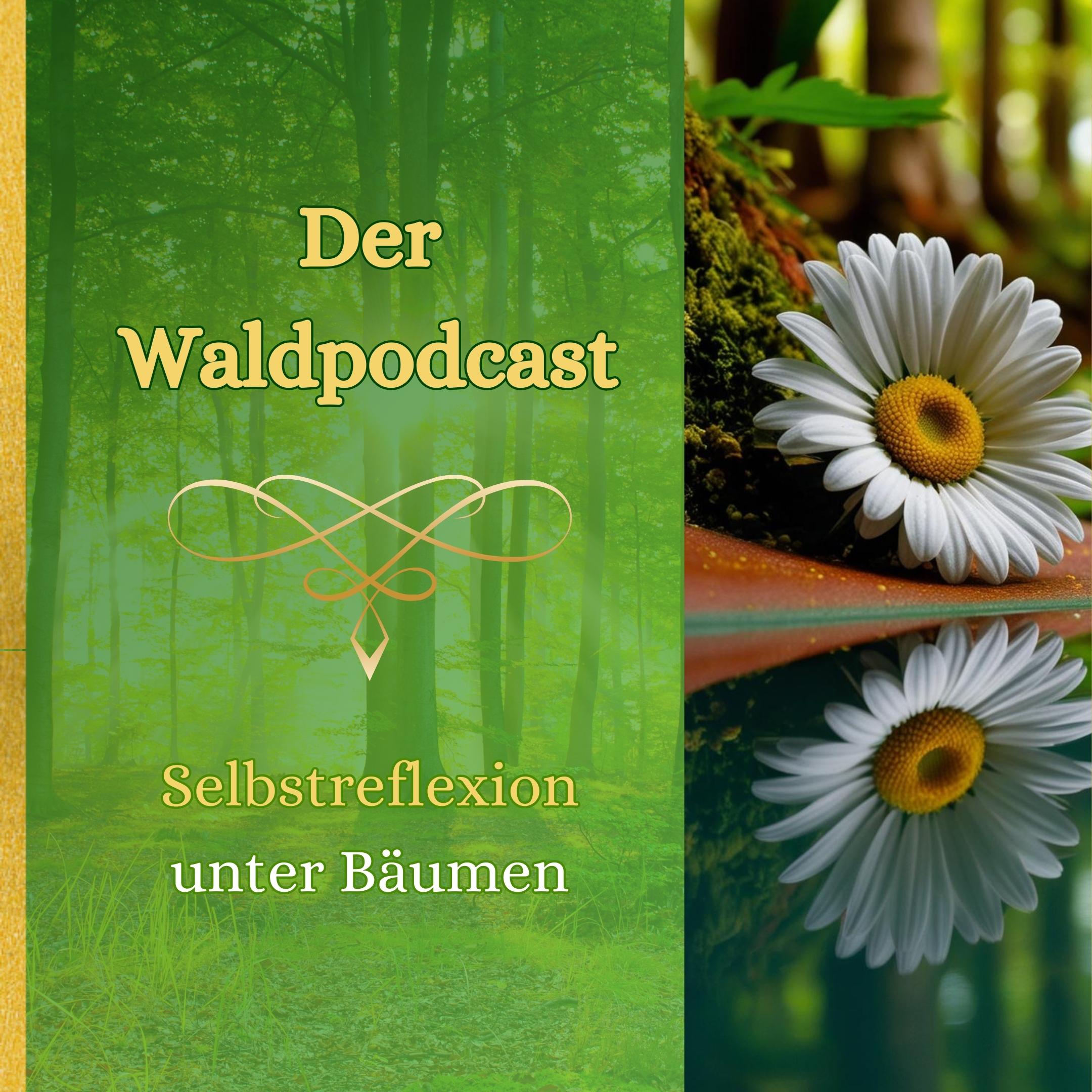 Waldpodcast - für deine innere & äußere Natur