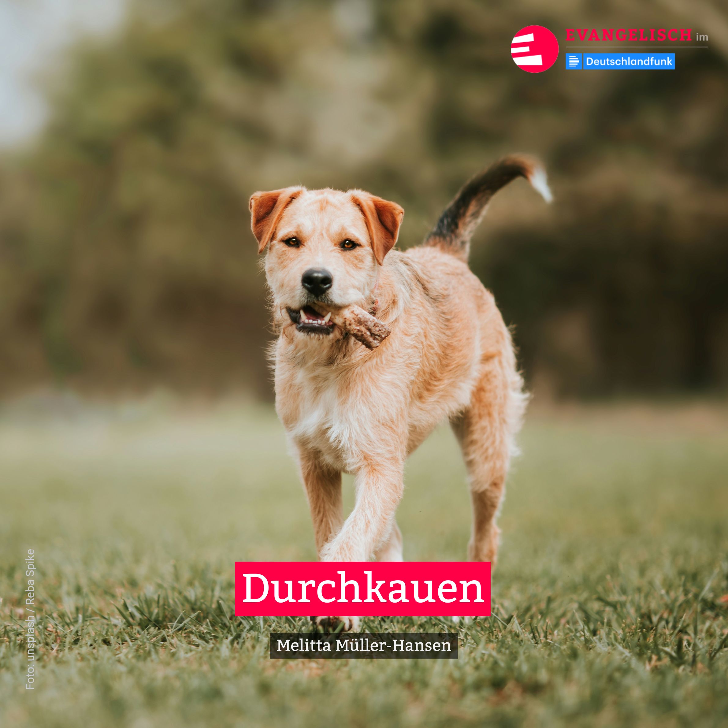 Durchkauen