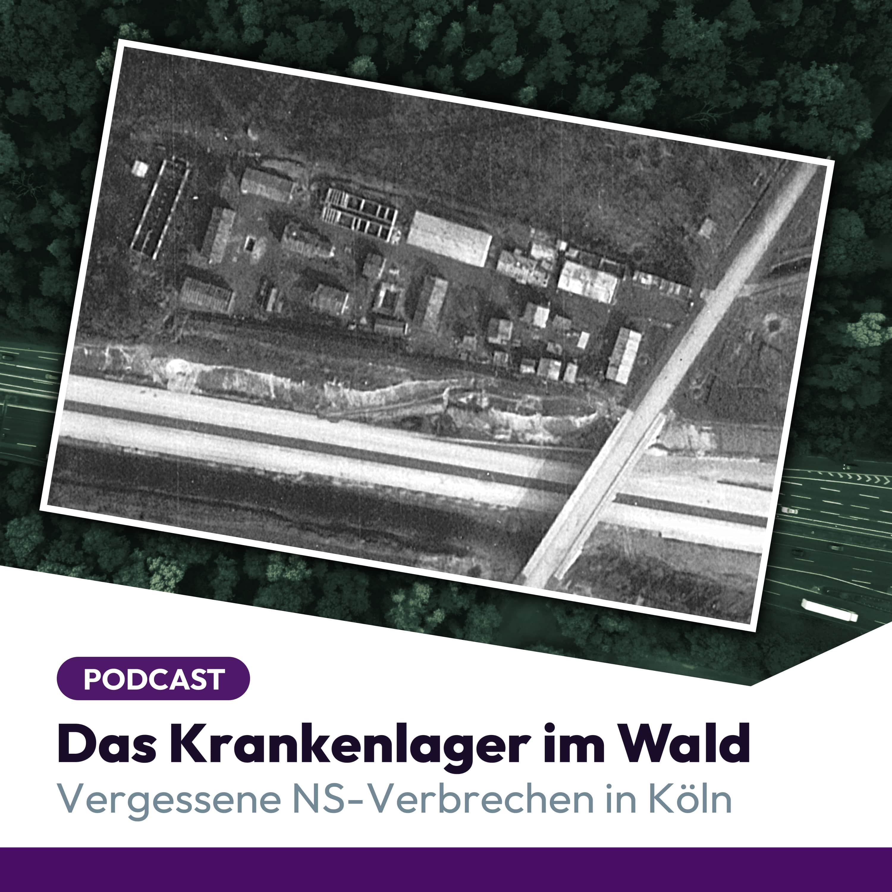 Trailer: Das Krankenlager im Wald episode artwork
