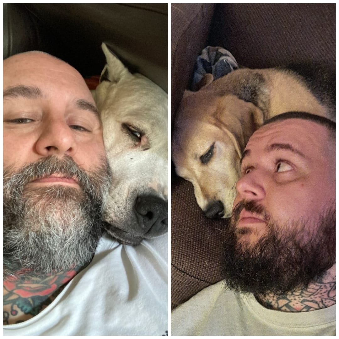 Ansaugstutzen und Wildschweinhoden