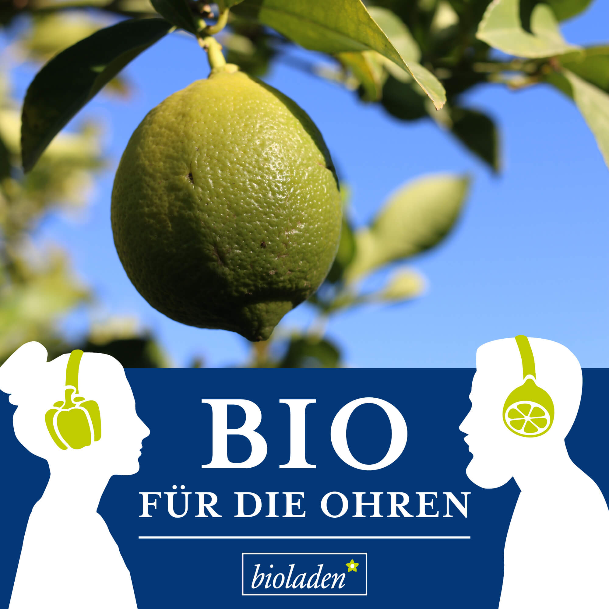 Bio für die Ohren