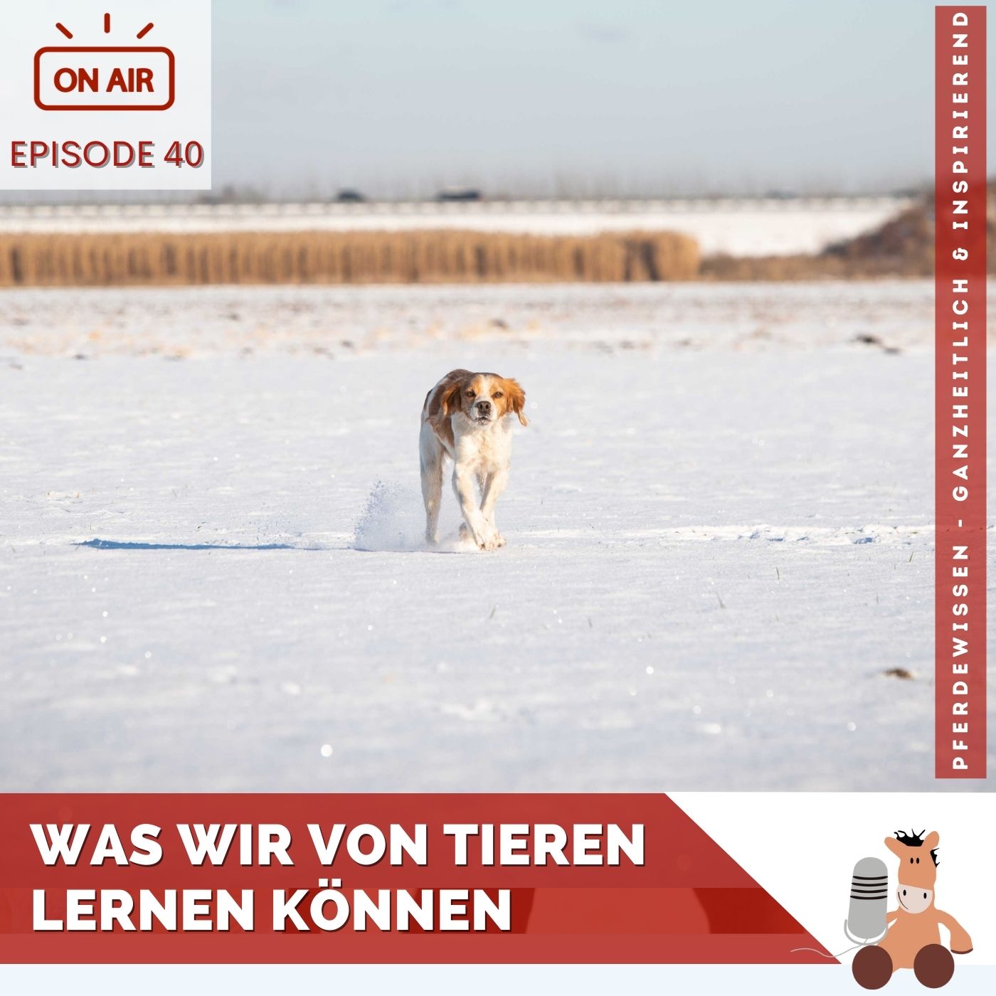 Was wir von Tieren lernen können episode artwork