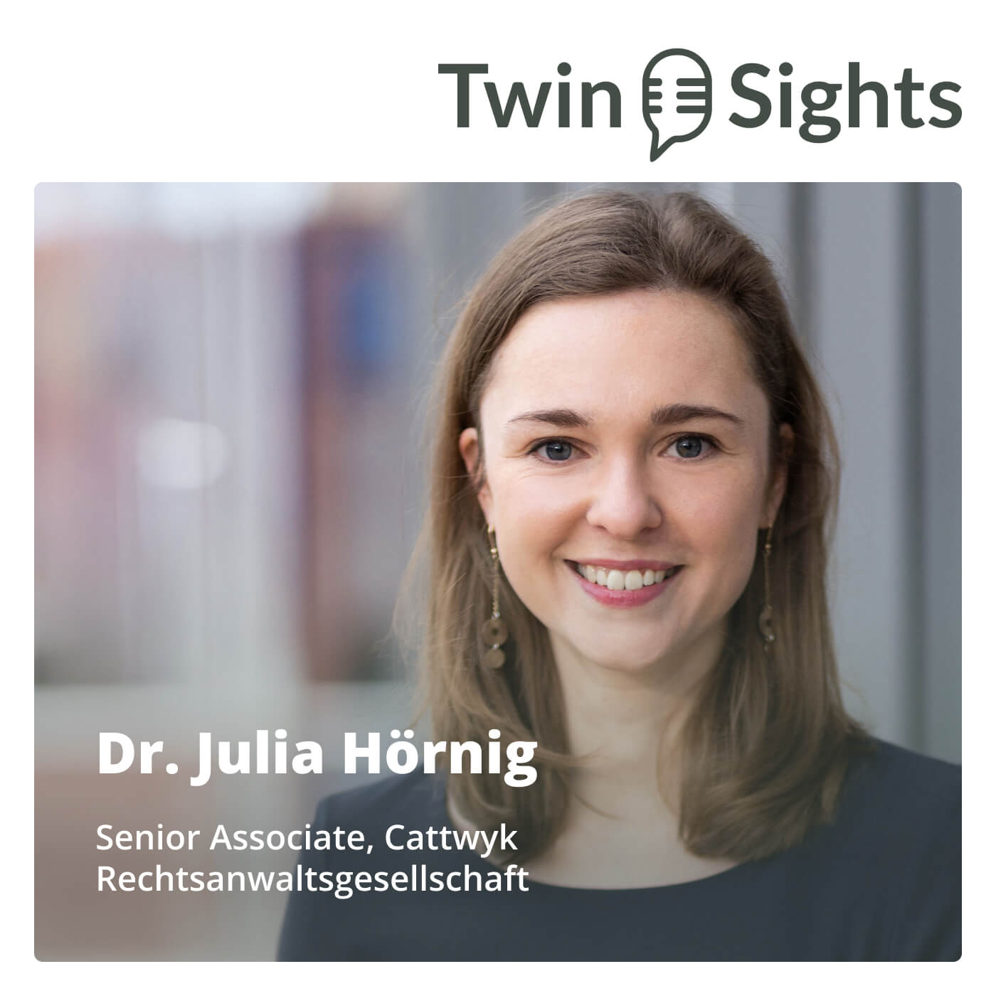 TwinSights Podcast – Einblicke in die digitale und nachhaltige Transformation