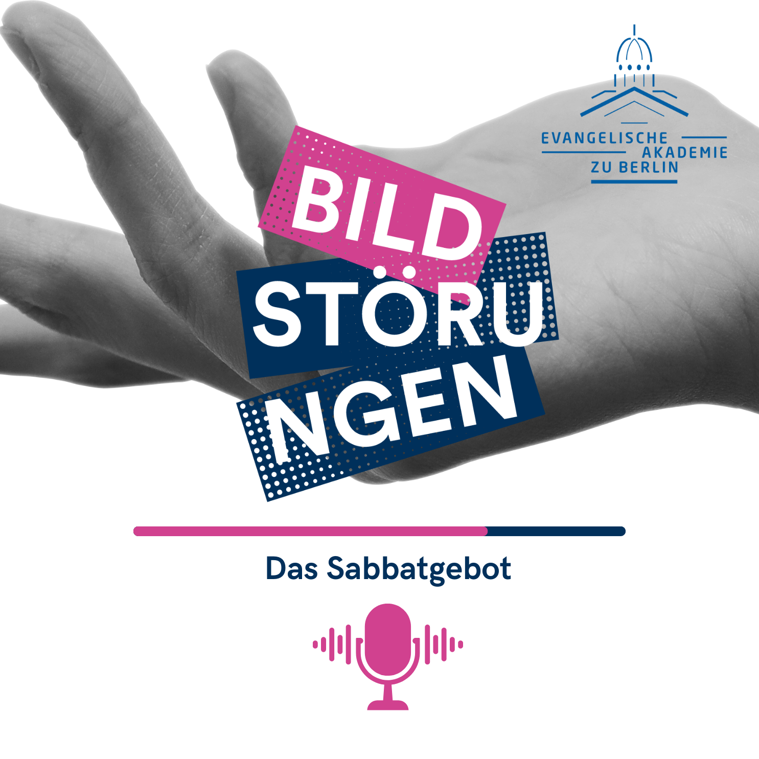 Bildstörungen