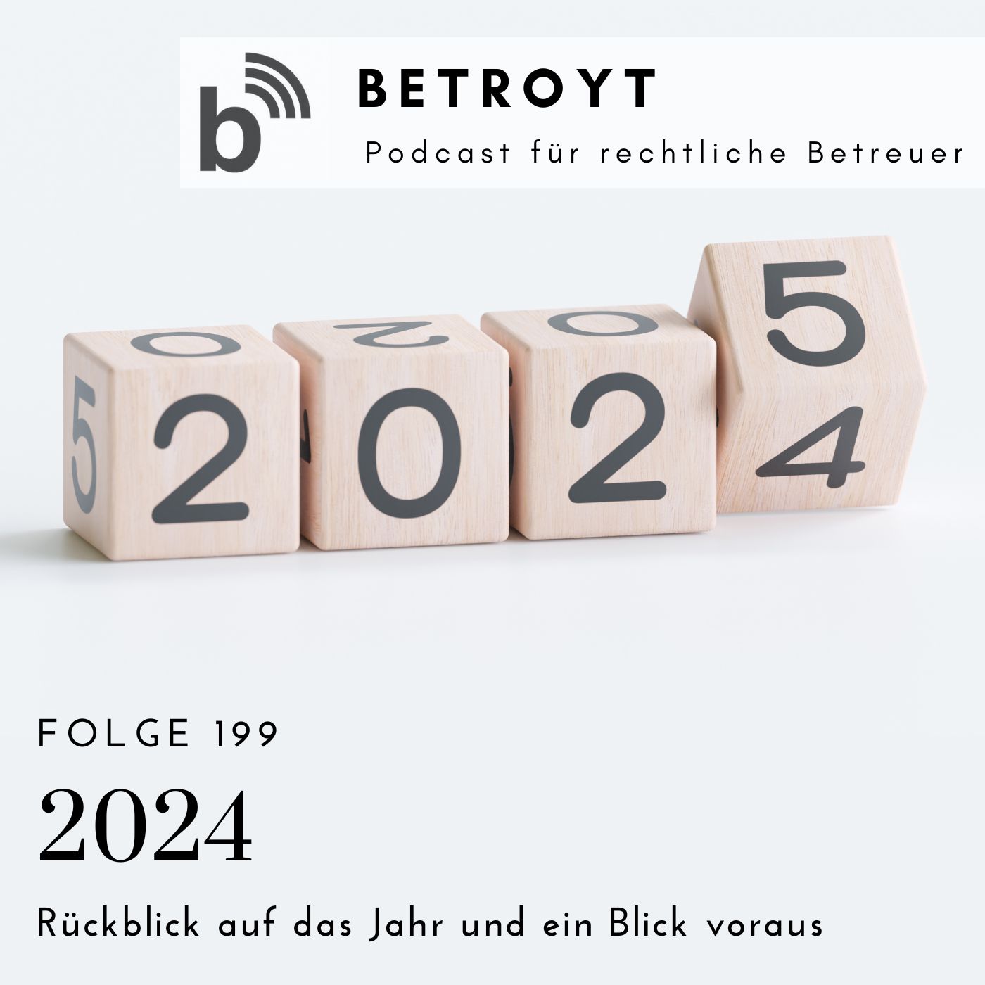 Folge 199 2024 - Rückblick auf das Jahr und ein Blick voraus
