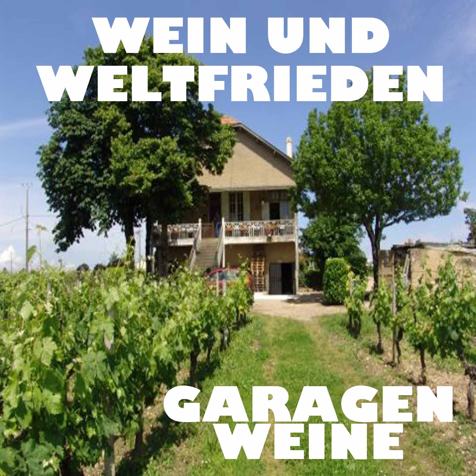 Wein und Weltfrieden