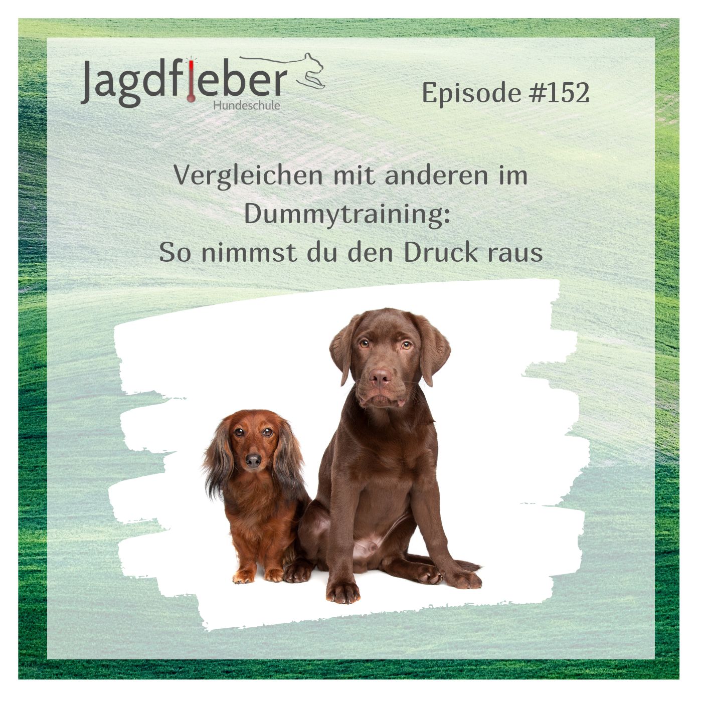 P152: Vergleichen mit anderen im Dummytraining: So nimmst du den Druck raus episode artwork