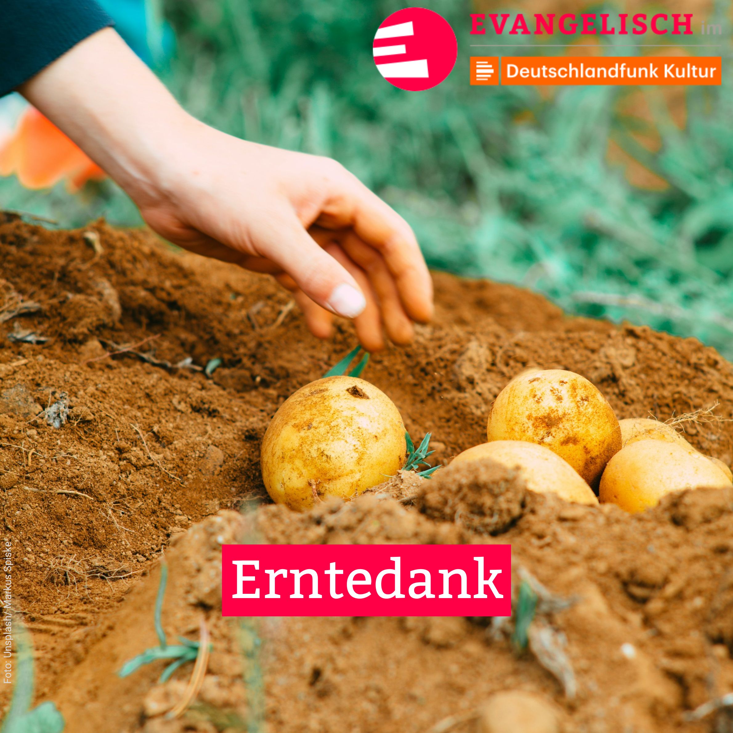 Erntedank