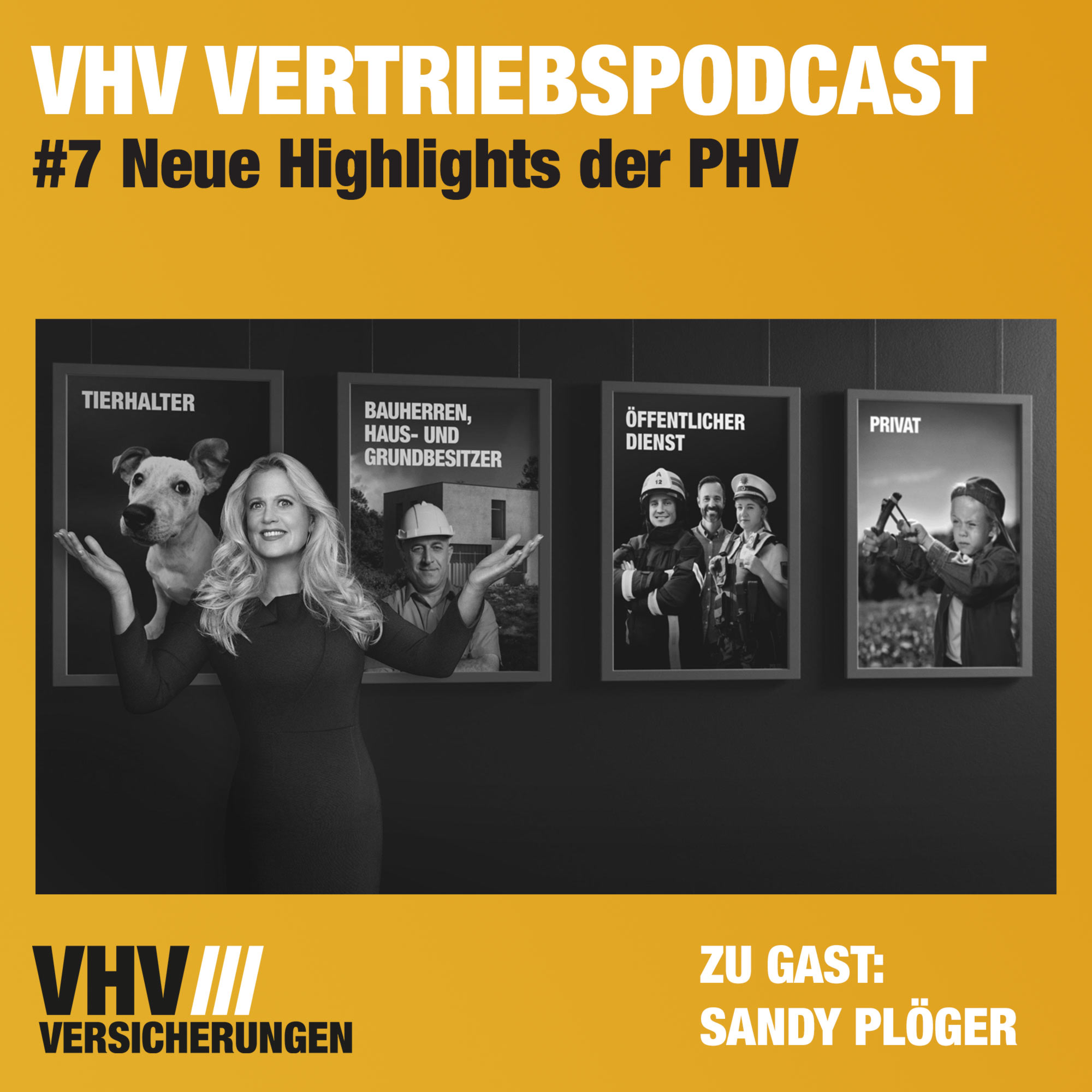 Private Haftpflicht: Diese neuen Vorteile sollten Makler kennen episode artwork
