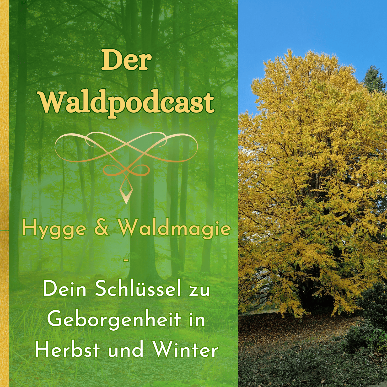 Waldpodcast - für deine innere & äußere Natur
