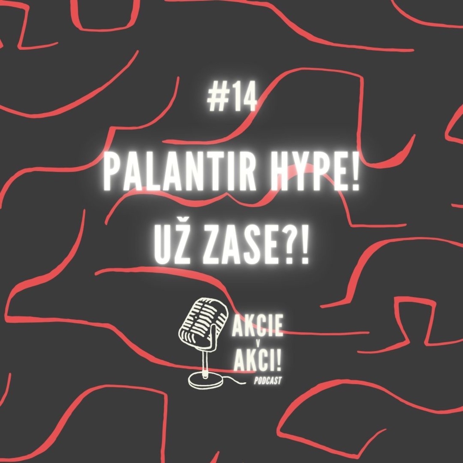 #14 PALANTIR HYPE! UŽ ZASE?!